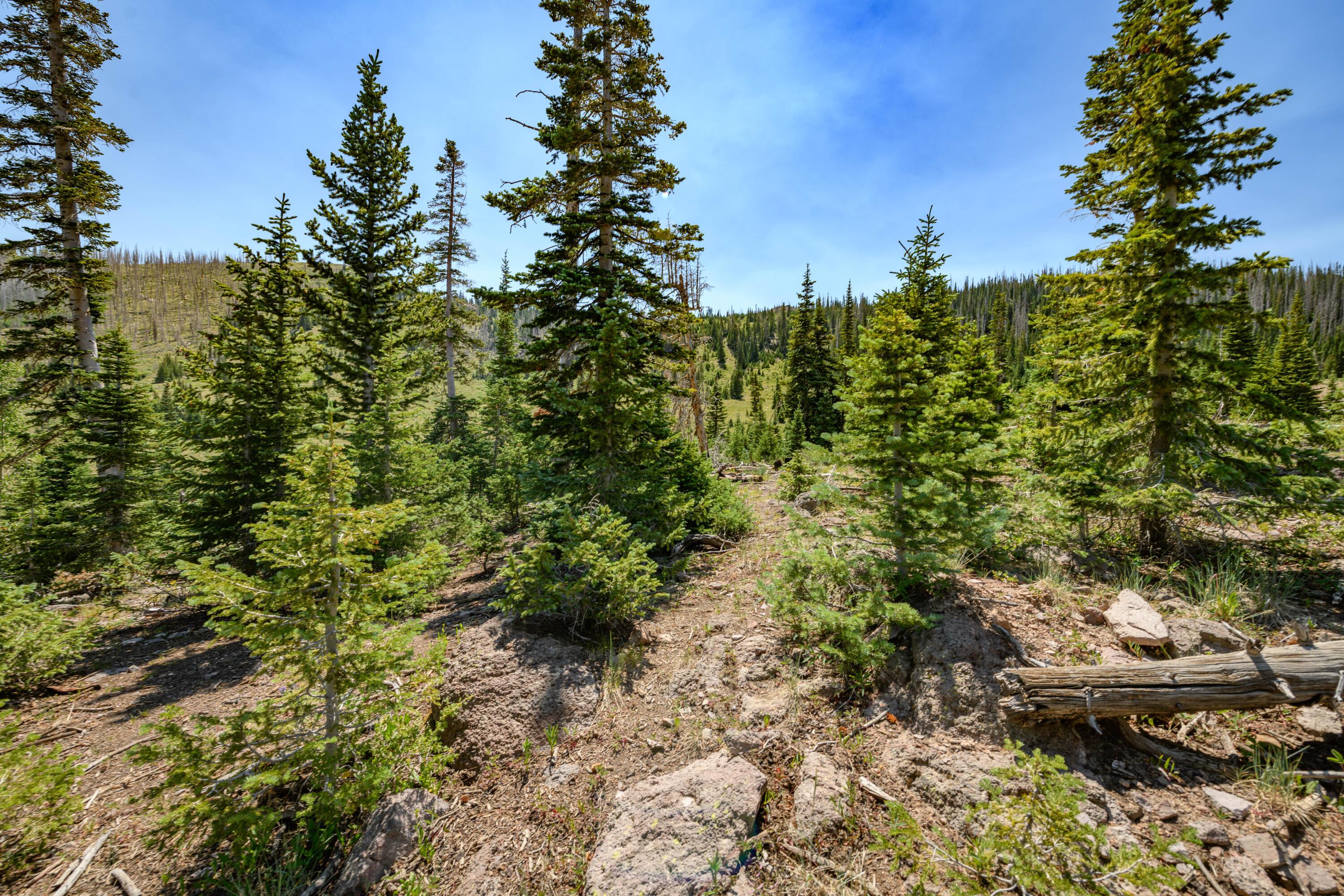 Brian Head, Utah, 84719, United States, ,Residential,For Sale,1983470