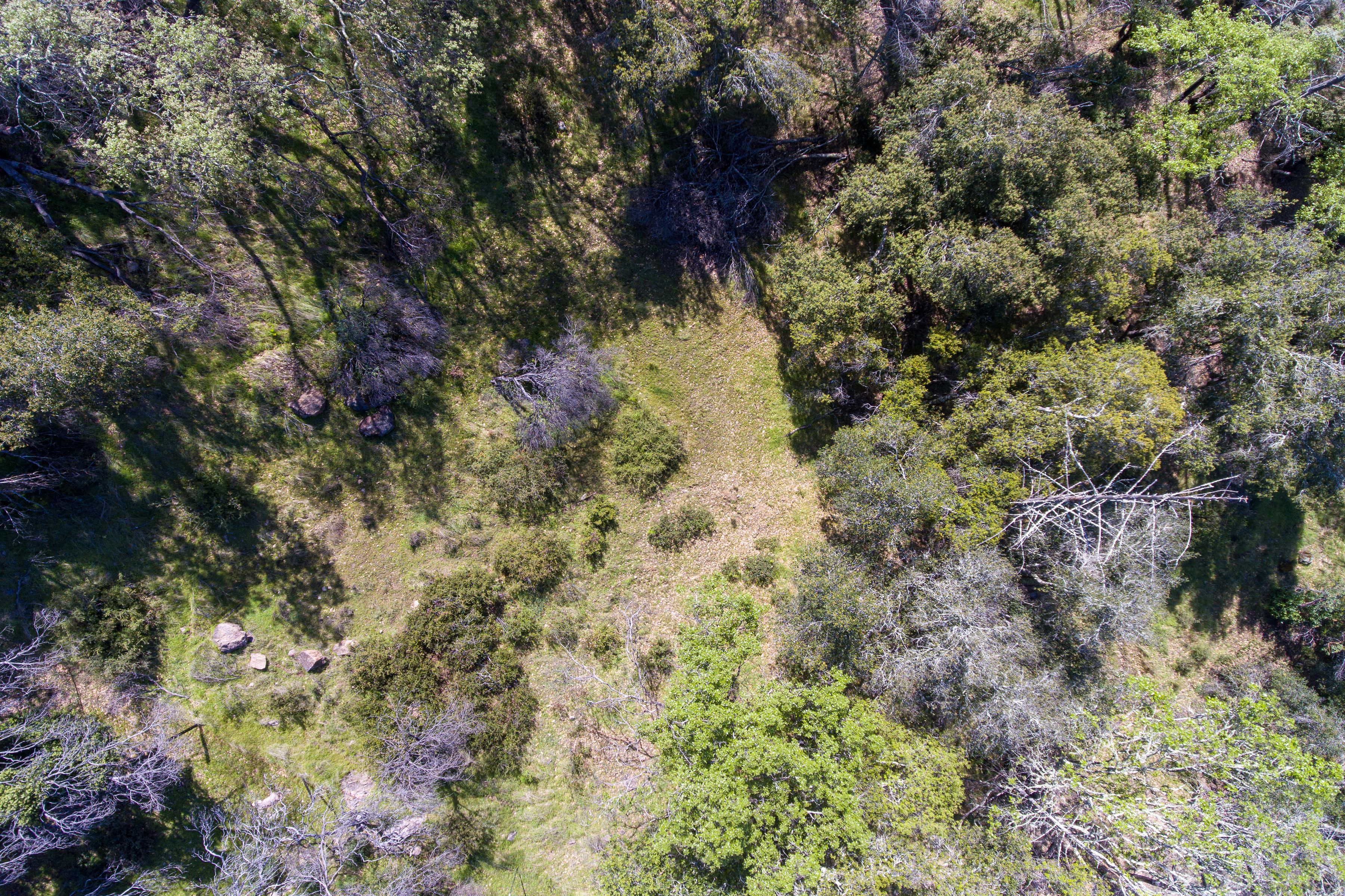  7935 St Helena Road - 物件實景