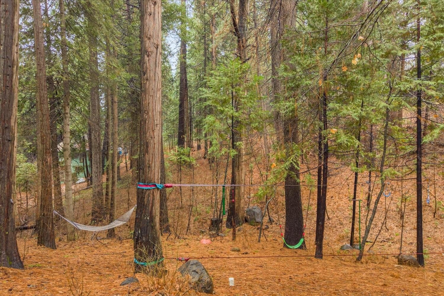 Arnold, California, 95223, United States, 3 Bedrooms Bedrooms, ,2 BathroomsBathrooms,Residential,For Sale,2005489