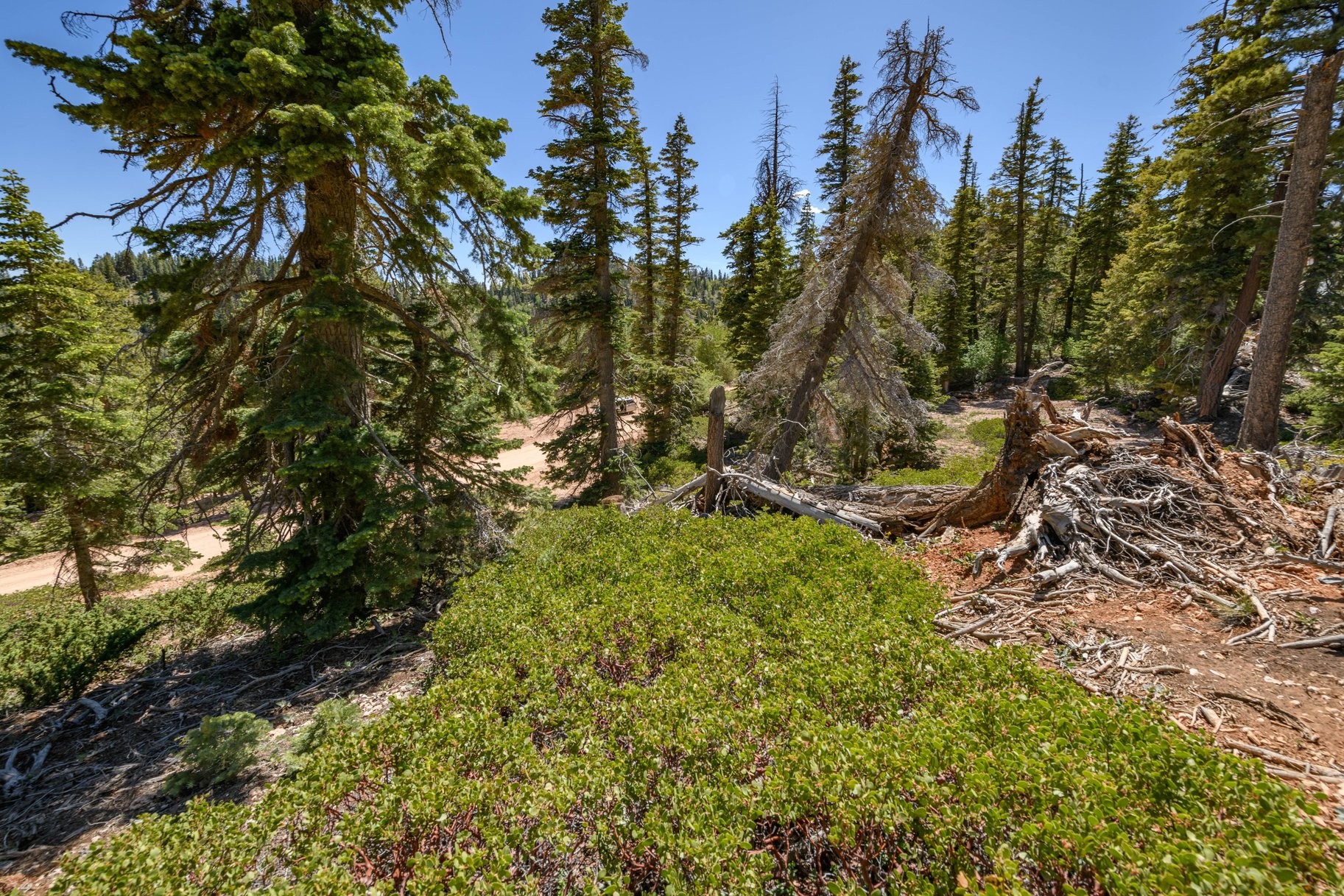  Quiet Mountain Retreat Near Navajo Lake - 物件實景