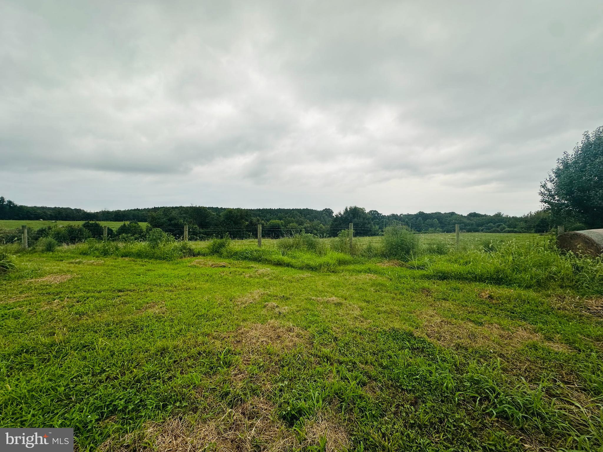 Stevensburg, Virginia, 22741, United States, 3 Bedrooms Bedrooms, ,2 BathroomsBathrooms,Residential,For Sale,1905838