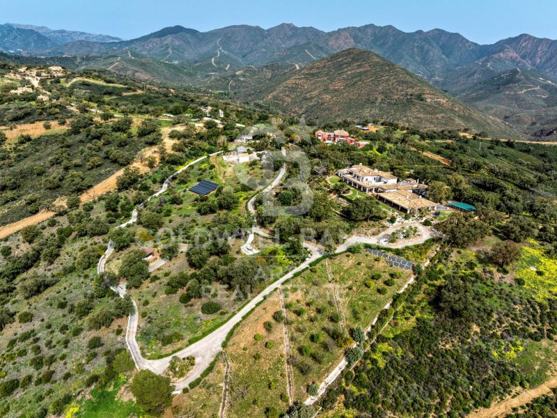 Marbella, Andalusia, ES, 7 Bedrooms Bedrooms, ,7 BathroomsBathrooms,Residential,For Sale,1939436