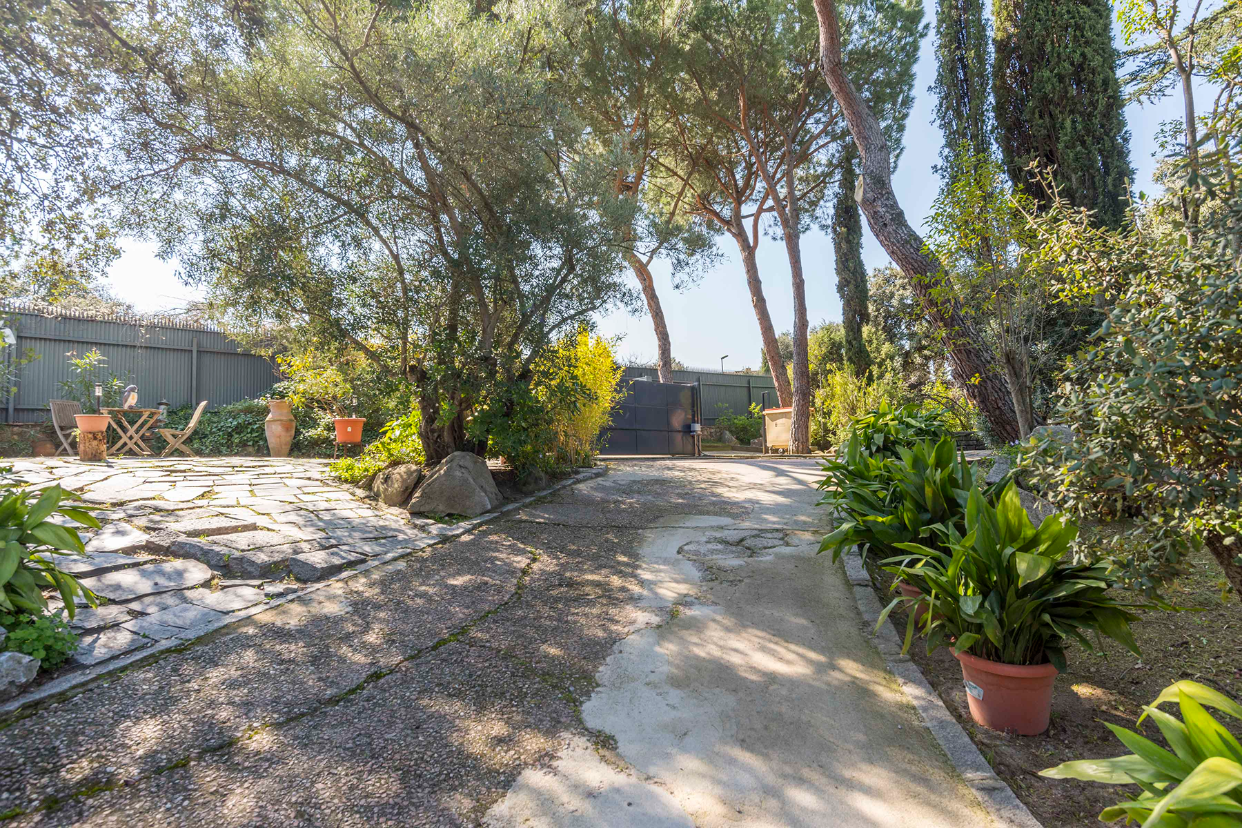  Wonderful hectare plot in La Moraleja - 物件實景