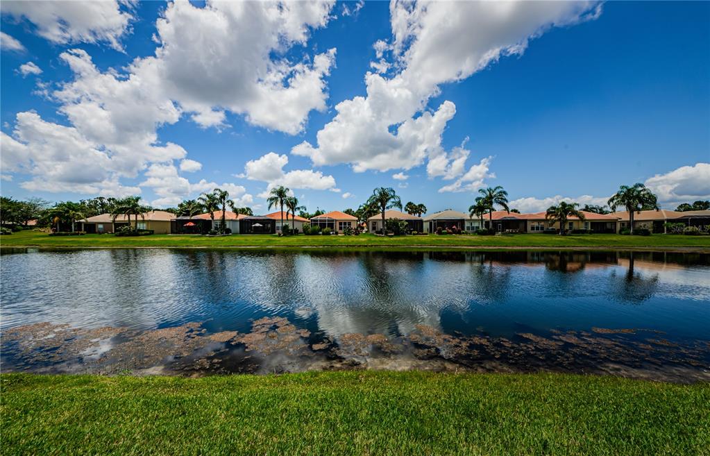 Wimauma, Florida, 33598, United States, 3 Bedrooms Bedrooms, ,3 BathroomsBathrooms,Residential,For Sale,1905877