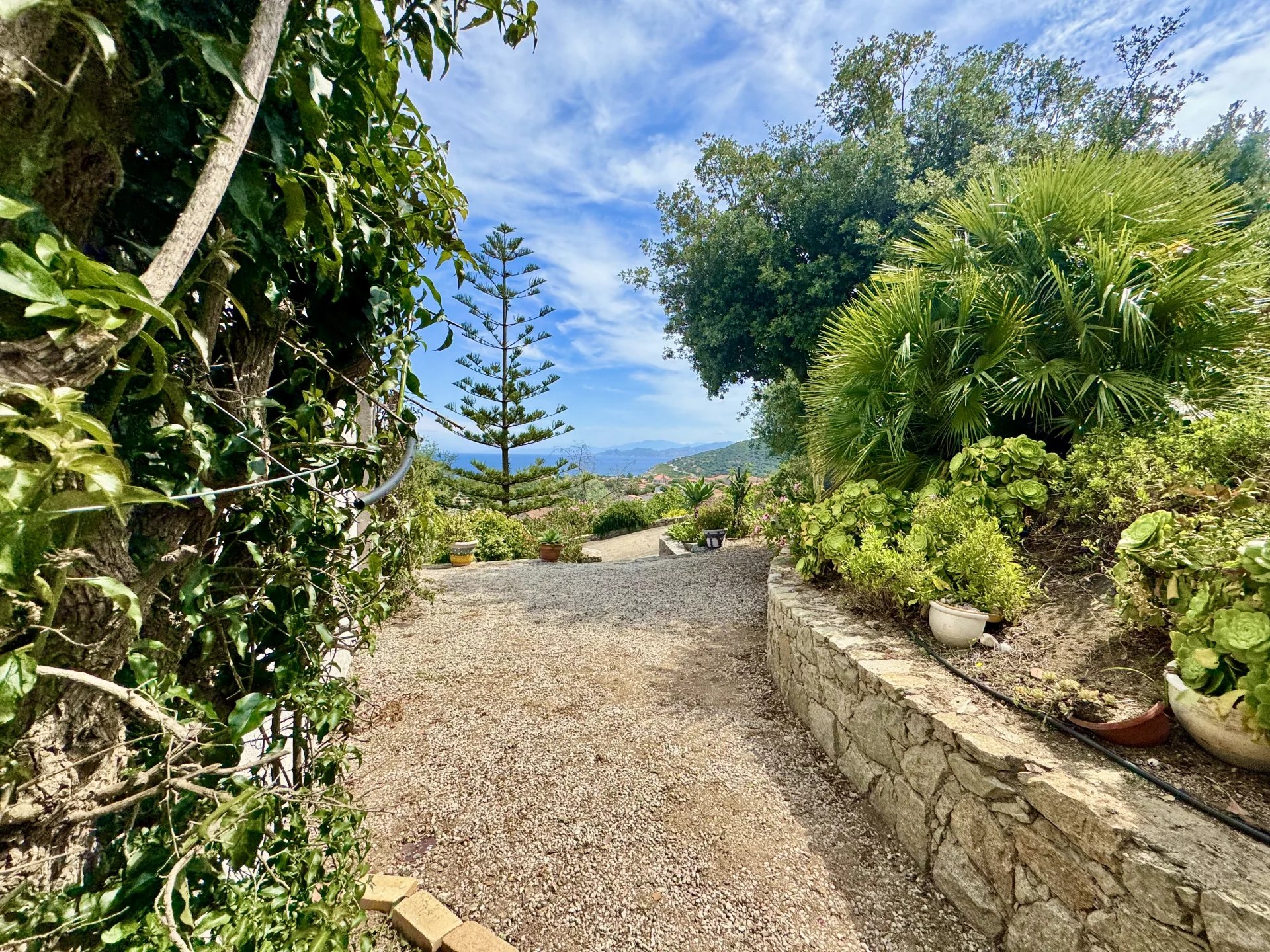 Monticello, Corsica, 20220, FR, ,Residential,For Sale,1838753