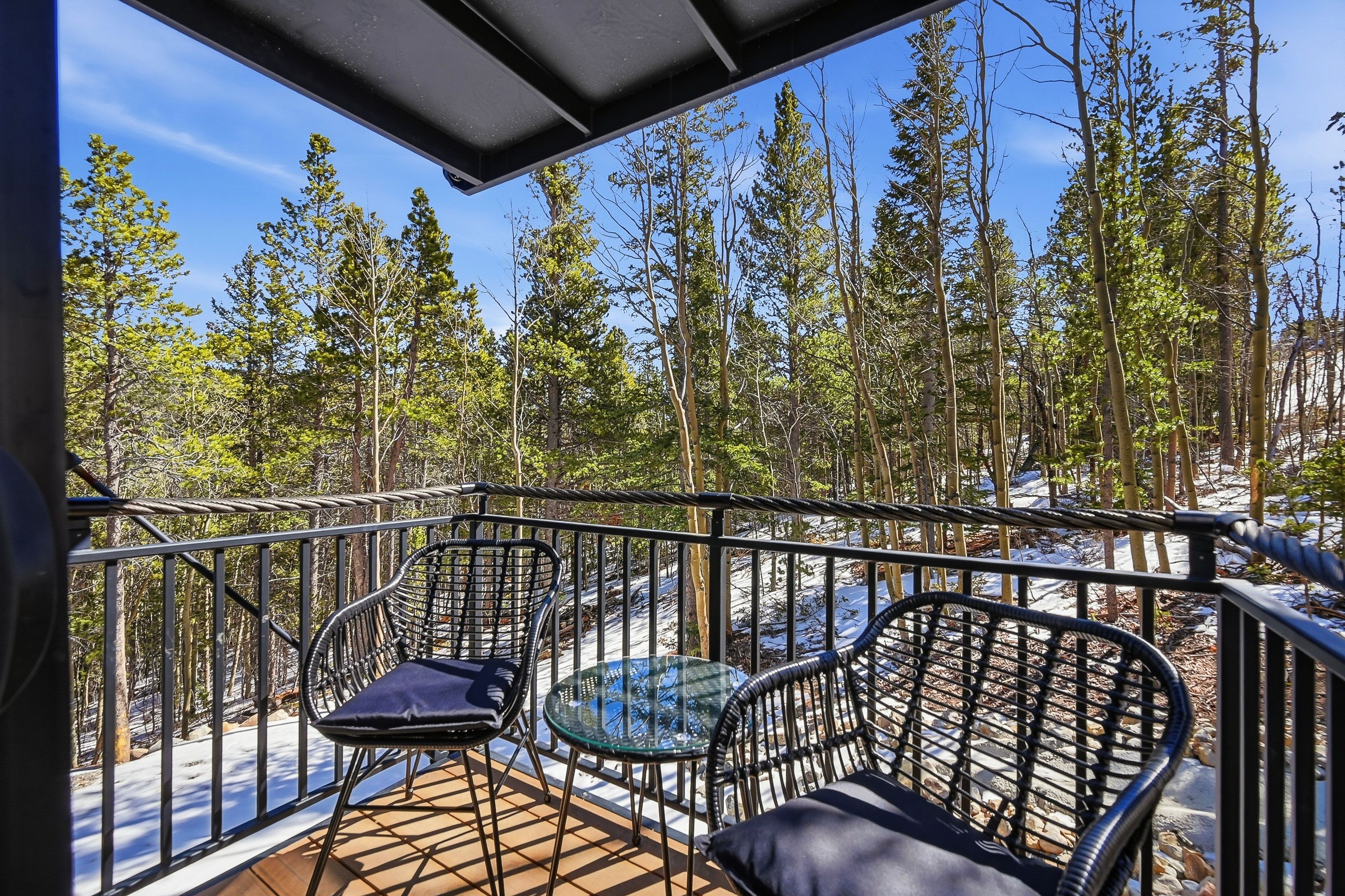  410 N Aspen Street, Alma, CO, 80420 - 物件實景