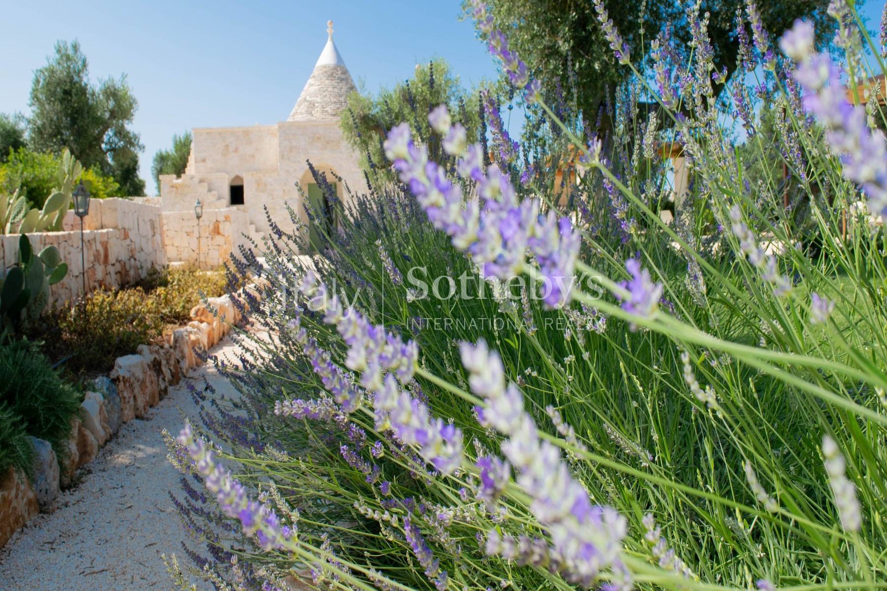  Exclusive estate among the olive trees in the Valle d