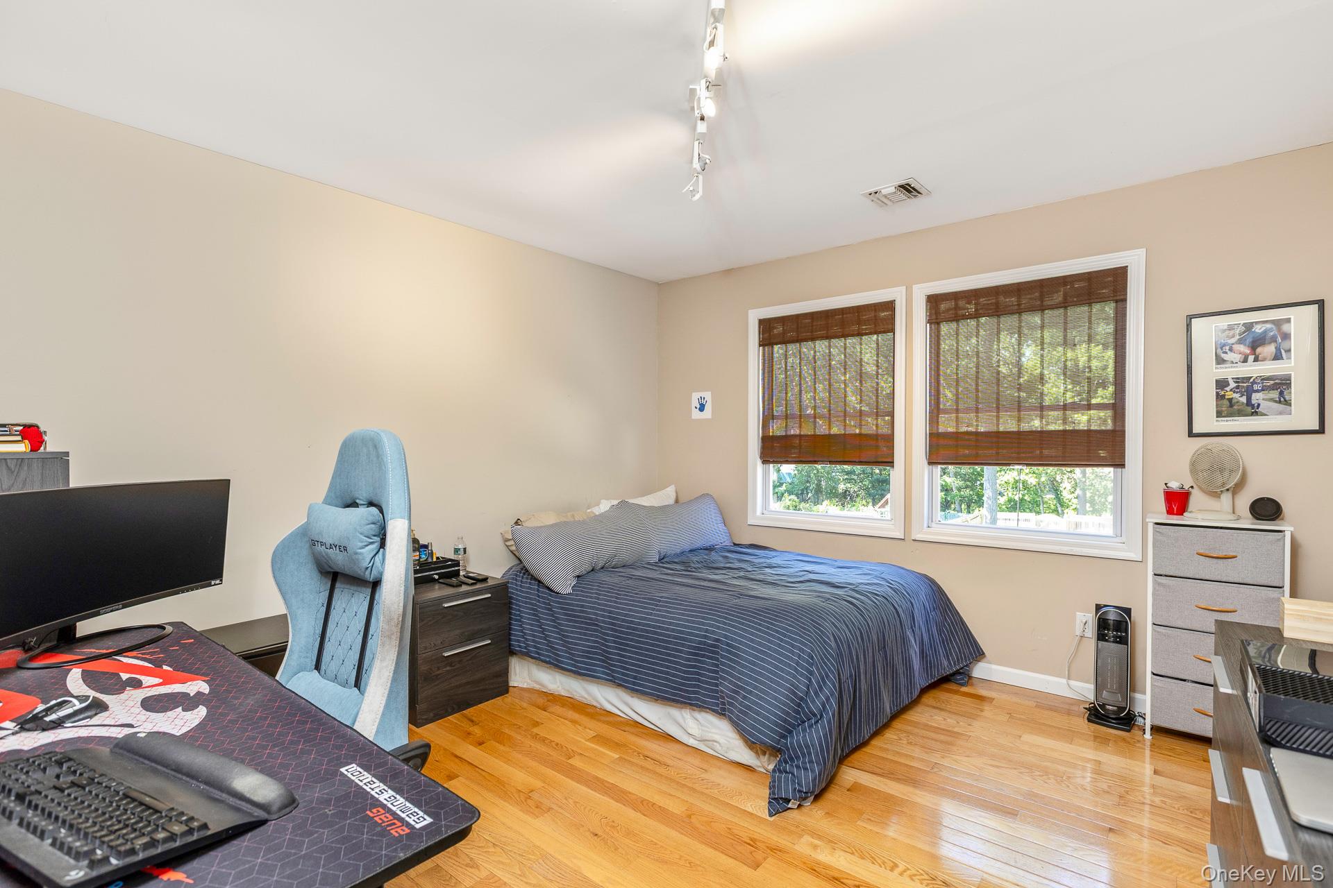  17 Dorfer Lane, Nesconset, NY, 11767 - 物件實景