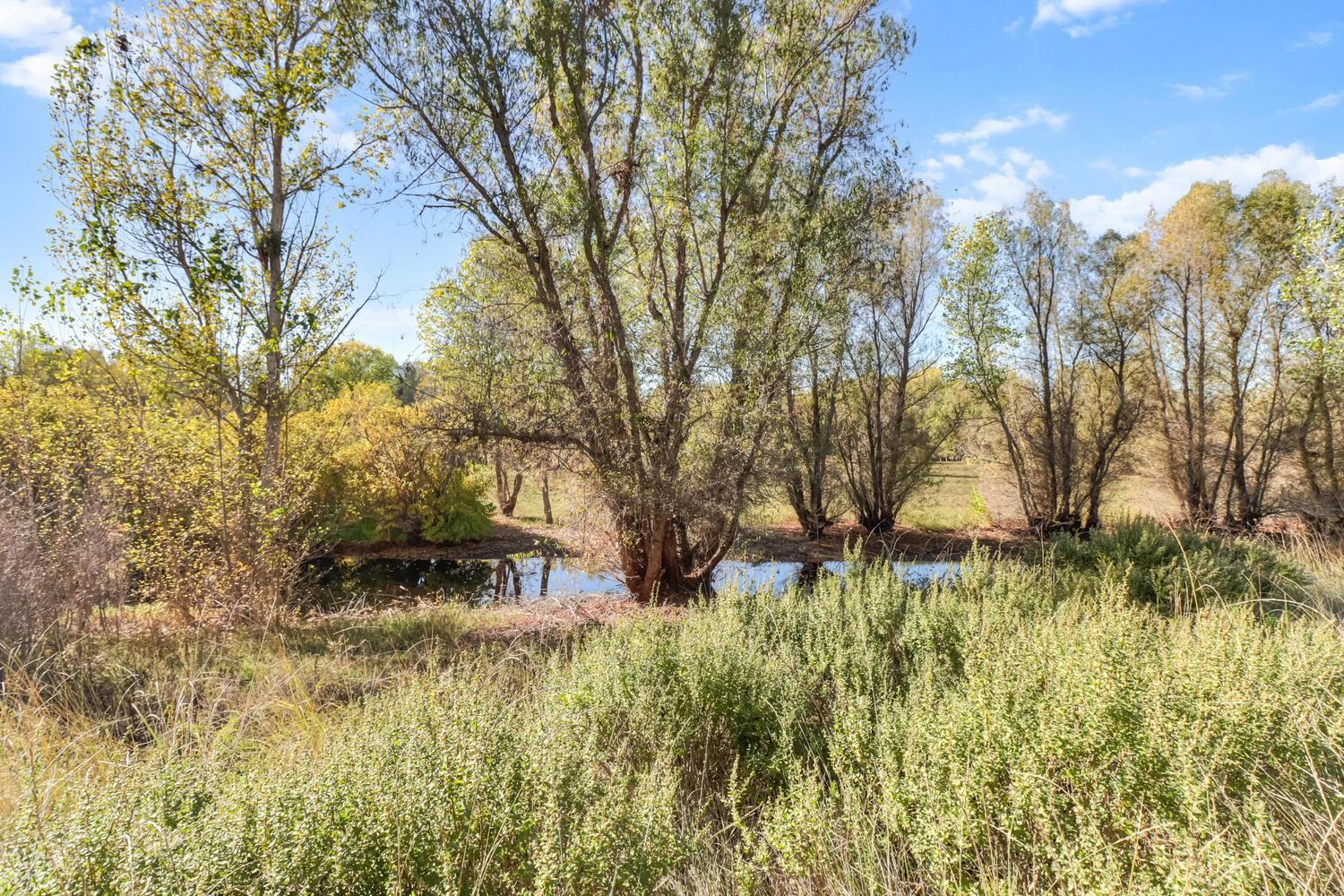 Davis, California, 95616, United States, 3 Bedrooms Bedrooms, ,1 BathroomBathrooms,Residential,For Sale,1989480