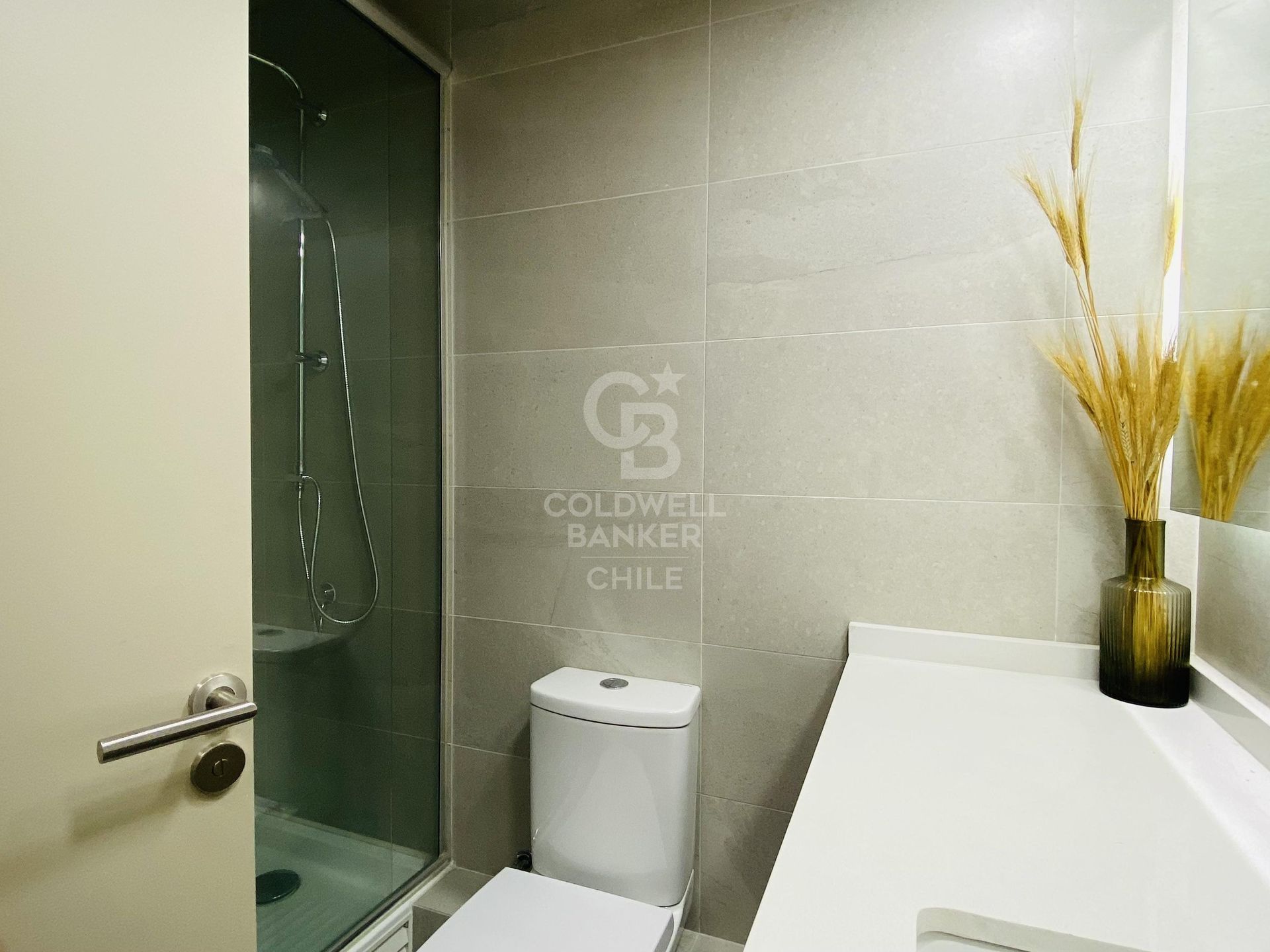 Providencia, Chile, 2 Bedrooms Bedrooms, ,3 BathroomsBathrooms,Residential,For Sale,1752496