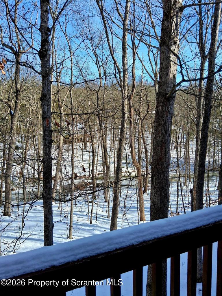 Meadow View Ct, Bushkill, PA 18324 #1