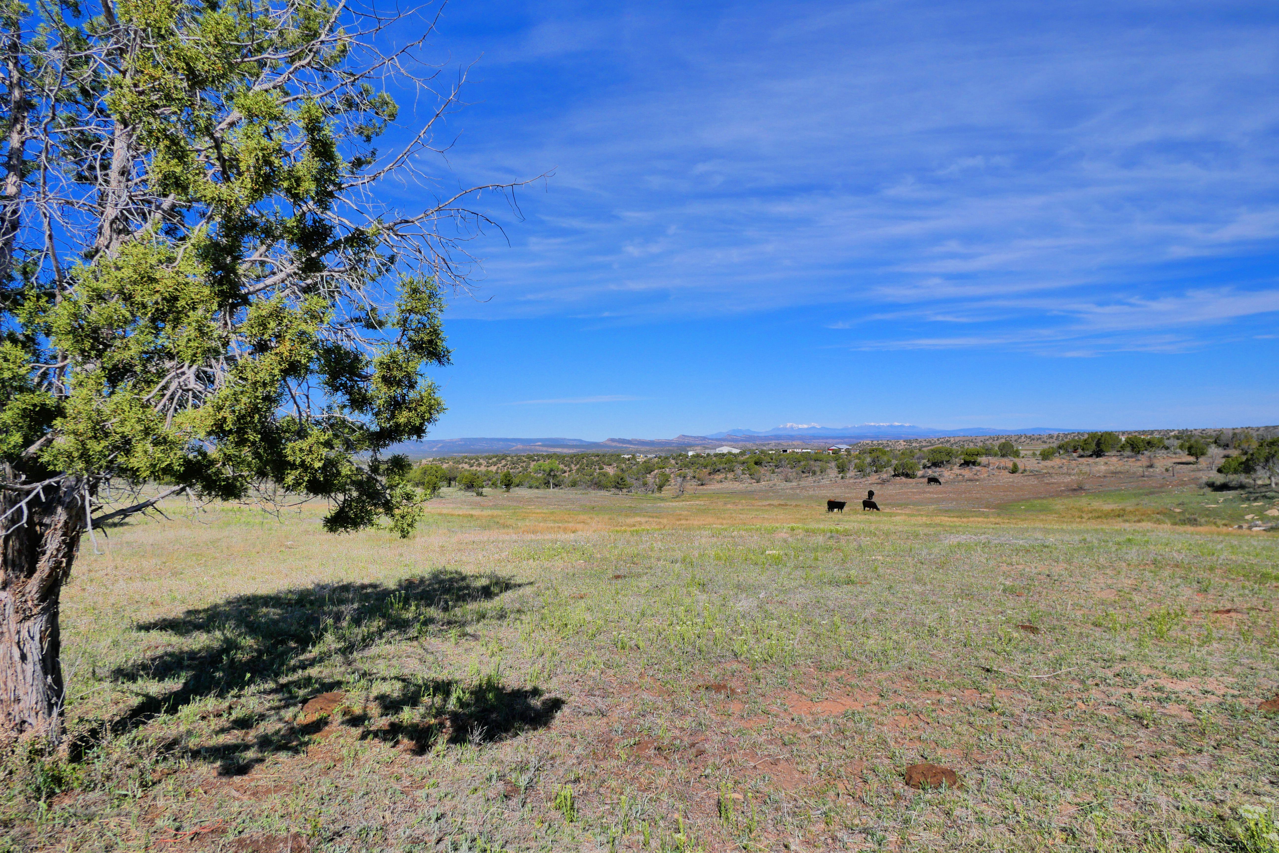  Stunning Views Of The La Sal Mountains, Uncompaghre Plateau, And Lone Cone - 物件實景