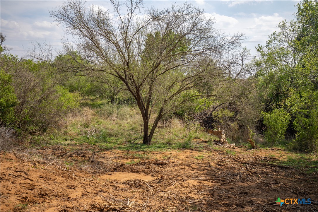 Jourdanton, Texas, 78026, United States, ,Residential,For Sale,1951381