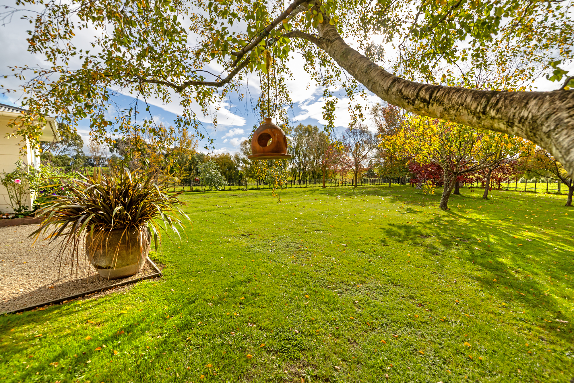  Wairarapa Lifestyle Haven - 物件實景