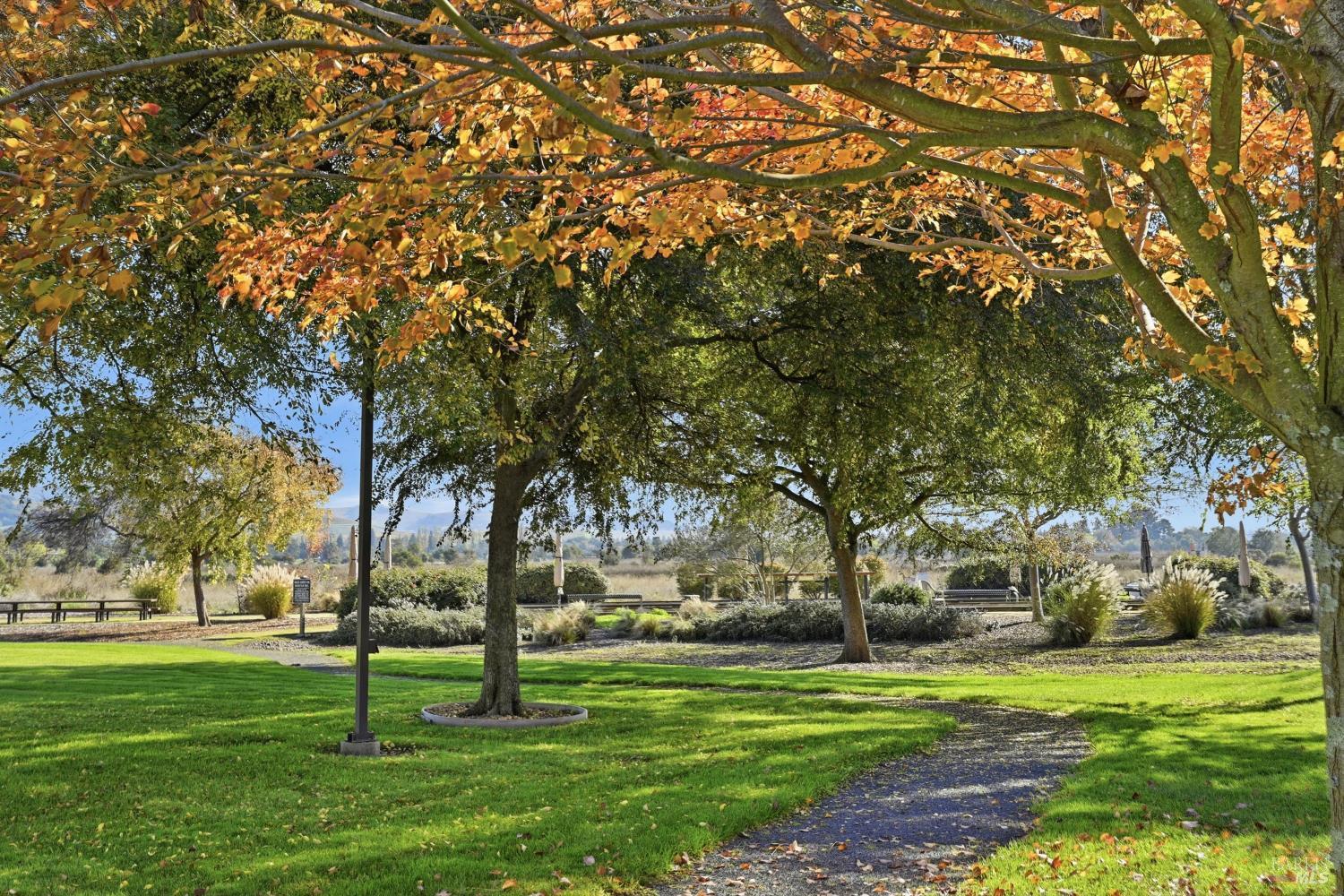 Napa, California, 94559, United States, 5 Bedrooms Bedrooms, ,3 BathroomsBathrooms,Residential,For Sale,2000395