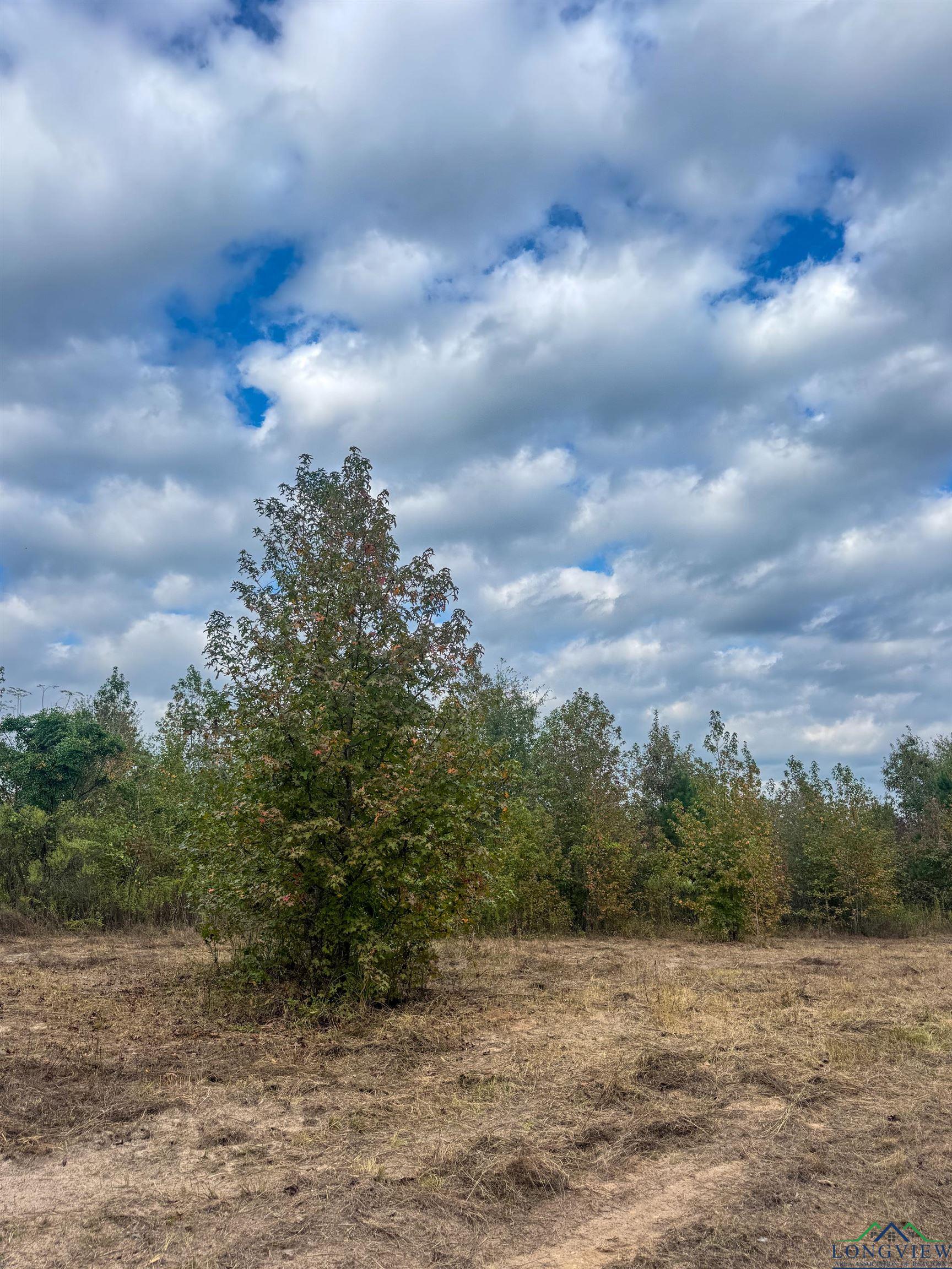 Marietta, Texas, 75566, United States, ,Land,For Sale,1977958