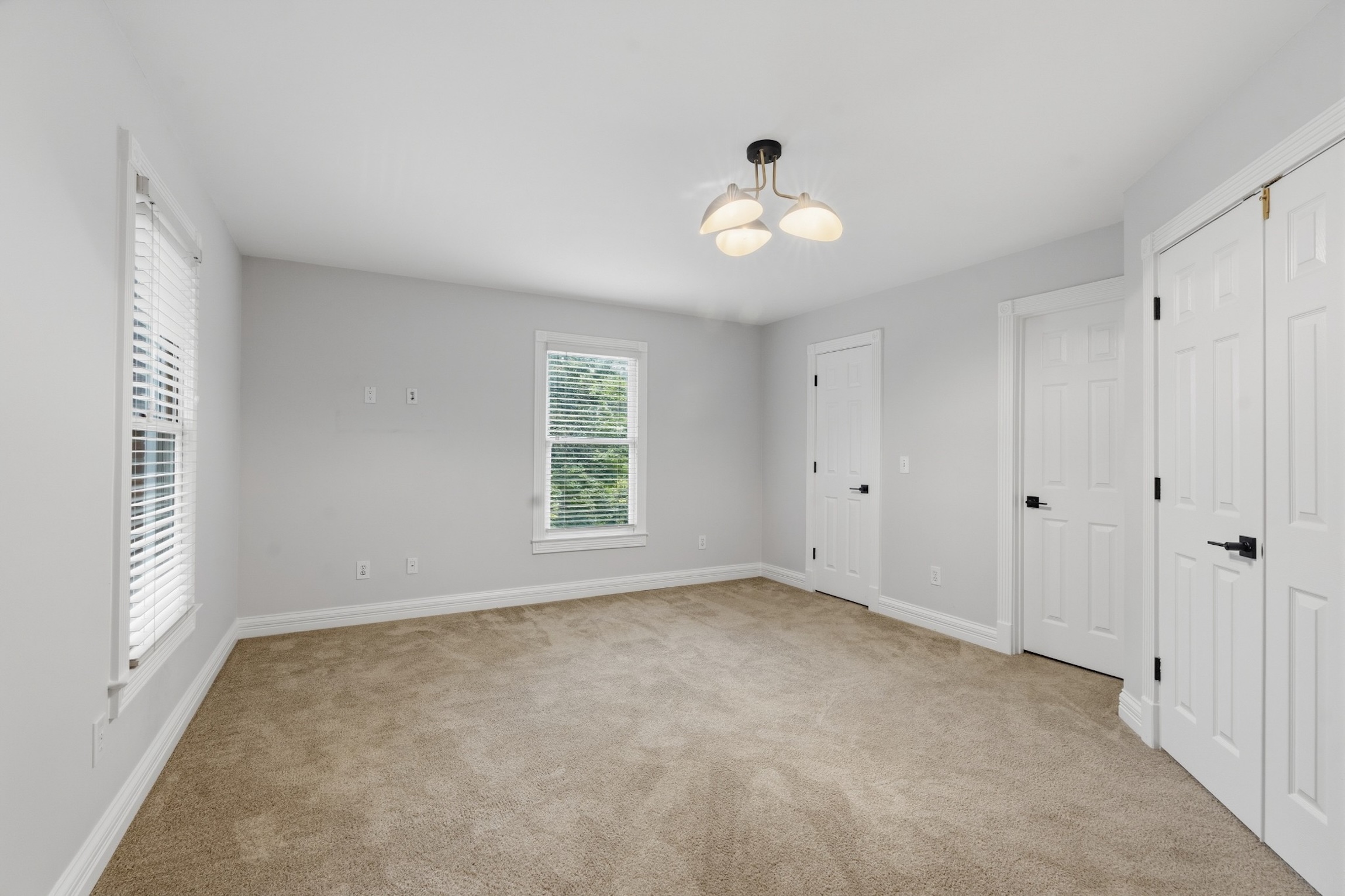  156 North Berwick Lane, Franklin, TN 37069 - 物件實景