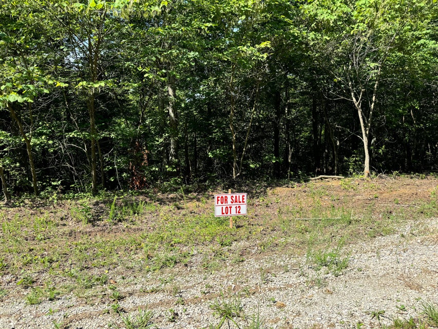 Somerset, Kentucky, 42501, United States, ,Residential,For Sale,1923151
