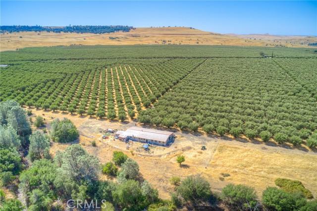 Oroville, California, 95965, United States, ,Land,For Sale,1981865