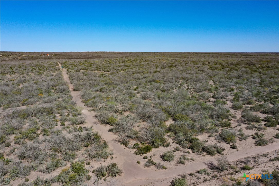 George West, Texas, 78022, United States, ,Land,For Sale,1738703