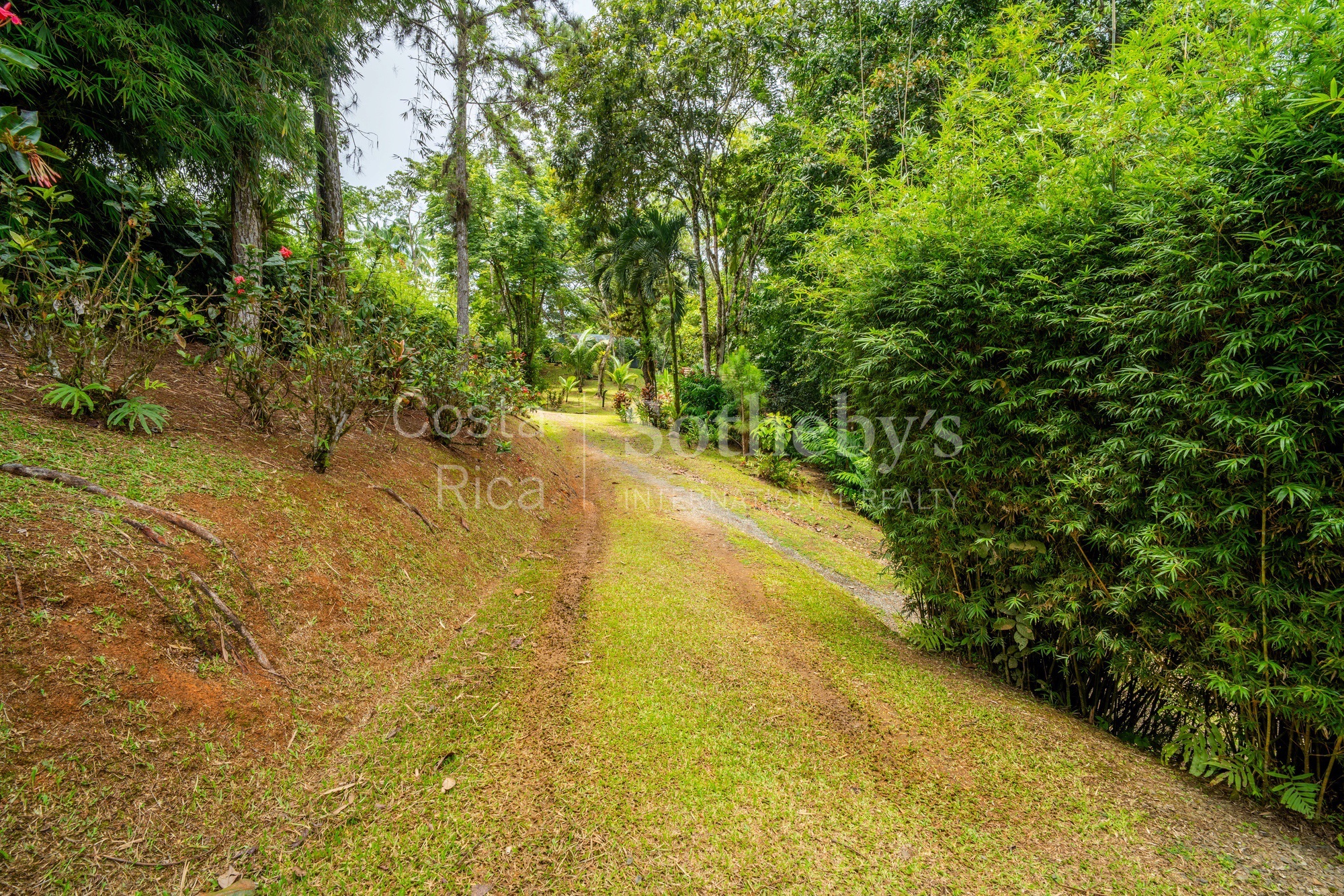  Dominical Yoga Retreat and Nature Reserve - 物件實景