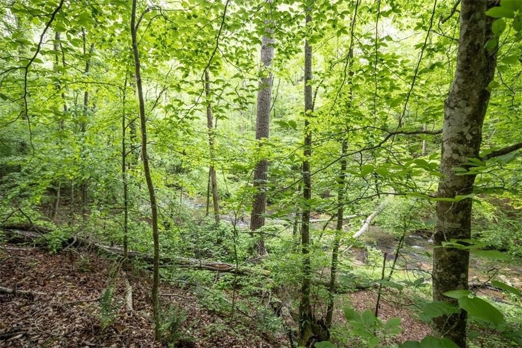 Jasper, Georgia, 30143, United States, ,Land,For Sale,2005889