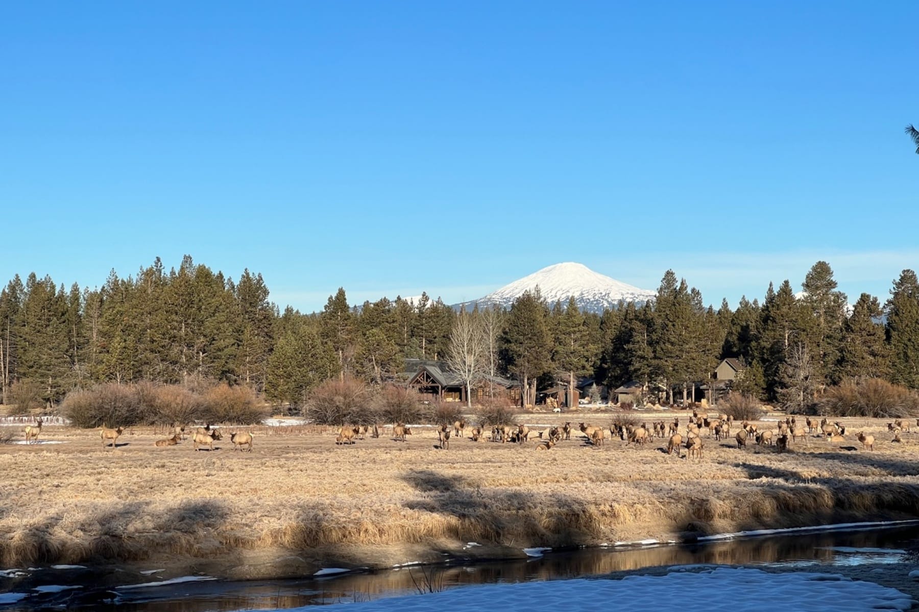  55635 Gatehouse Lane Bend, OR 97707 - 物件實景