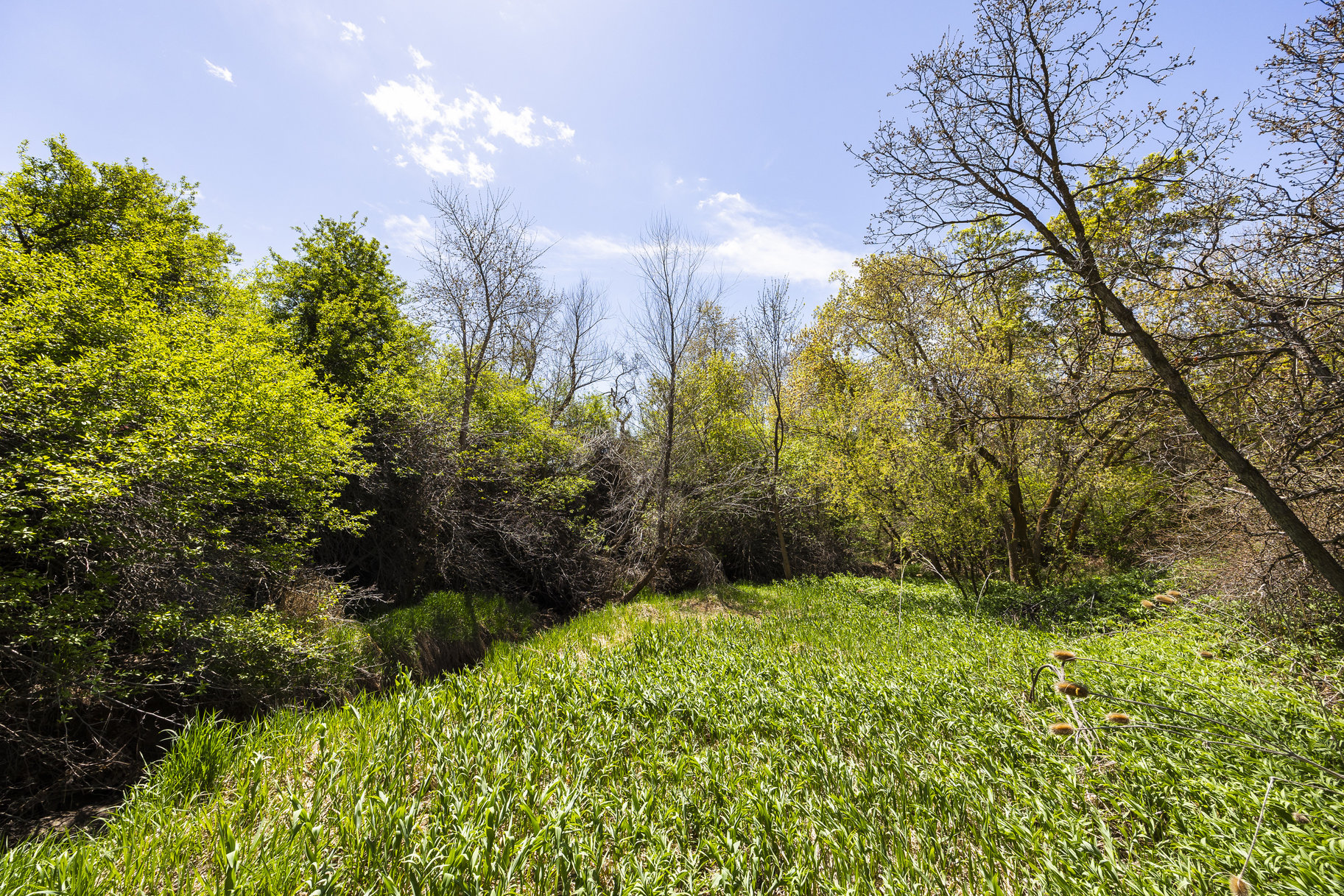  1.47 Acre Lot In East Layton With Endless Possibilities - 物件實景