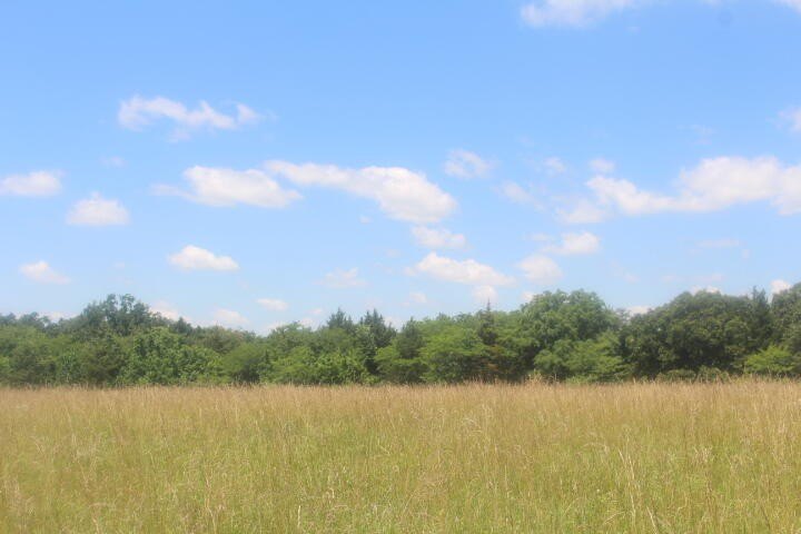 Polk, Missouri, 65727, United States, ,Land,For Sale,1980569