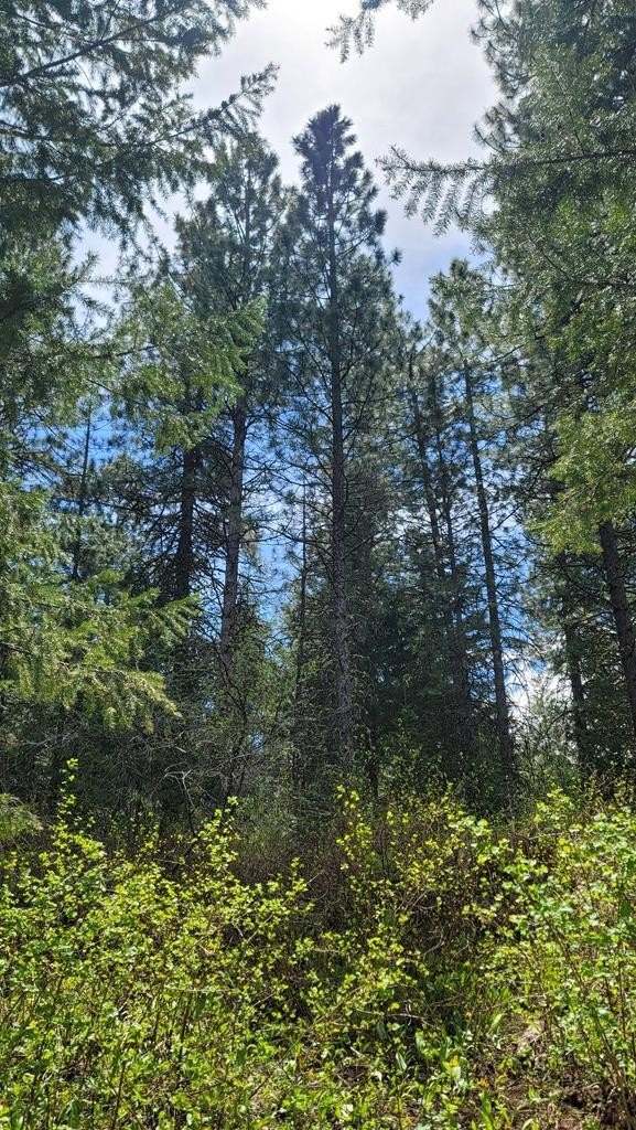 Council, Idaho, 83612, United States, 3 Bedrooms Bedrooms, ,2 BathroomsBathrooms,Residential,For Sale,1980798