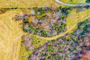 Fincastle, Virginia, 24090, United States, ,Residential,For Sale,1989448