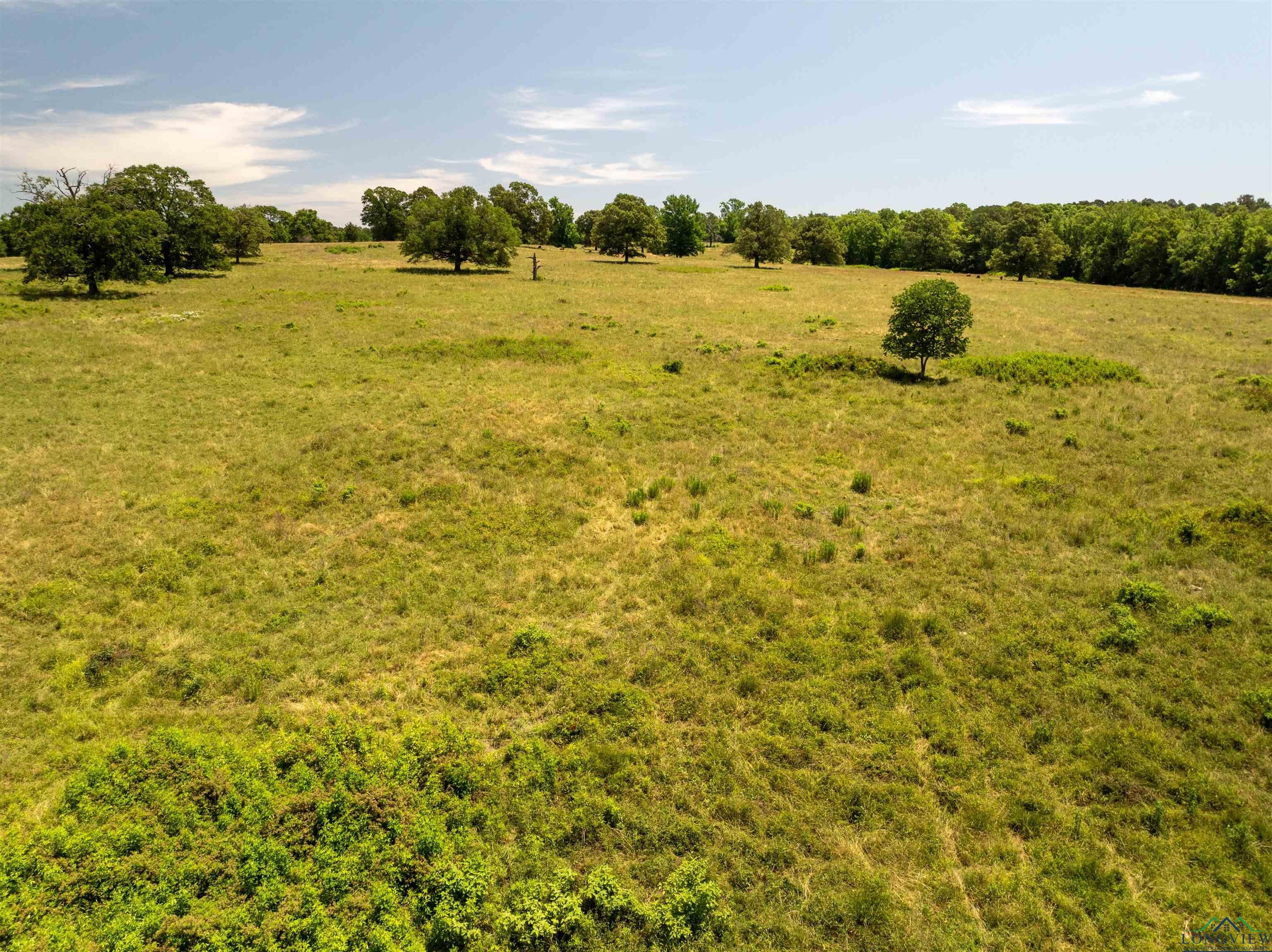 7557 FM 248, Lodi, Texas, 75564, United States, ,Residential,For Sale,7557 FM 248,1614560