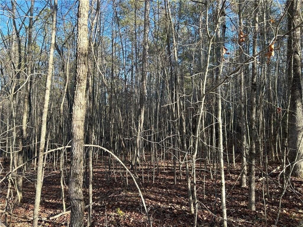 Dawsonville, Georgia, 30148, United States, ,Land,For Sale,1978894