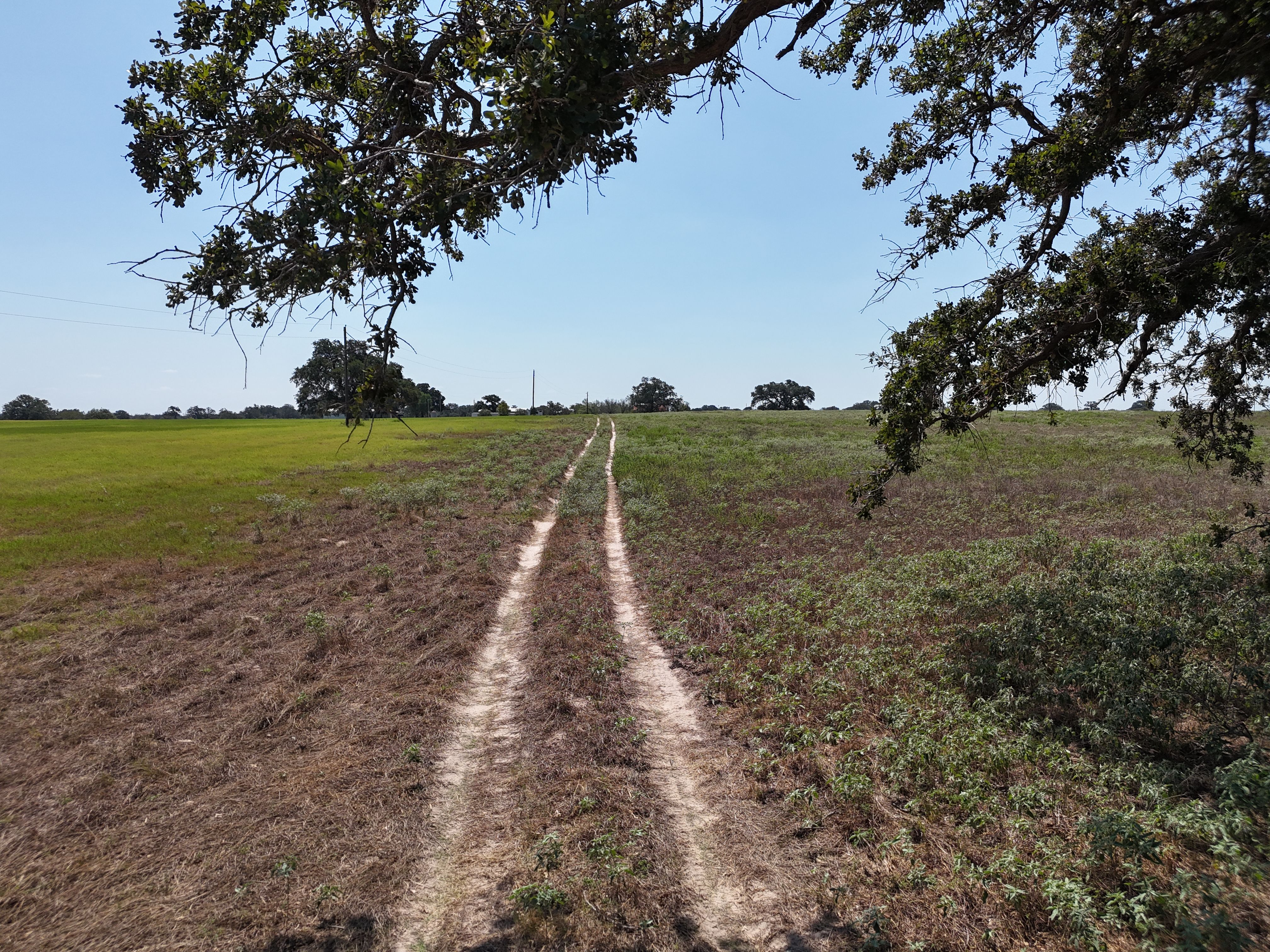  398+/- Acre Grass Pond Colony Ranch - 物件實景
