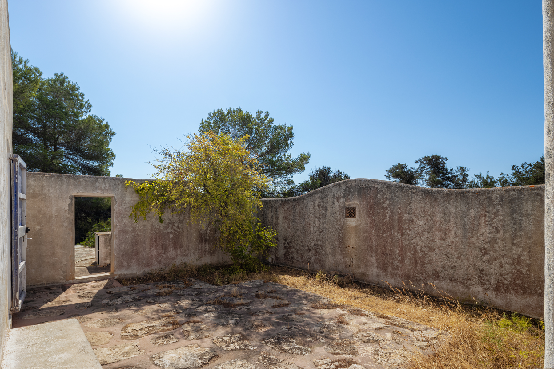  Country house to renovate in Formentera - 物件實景