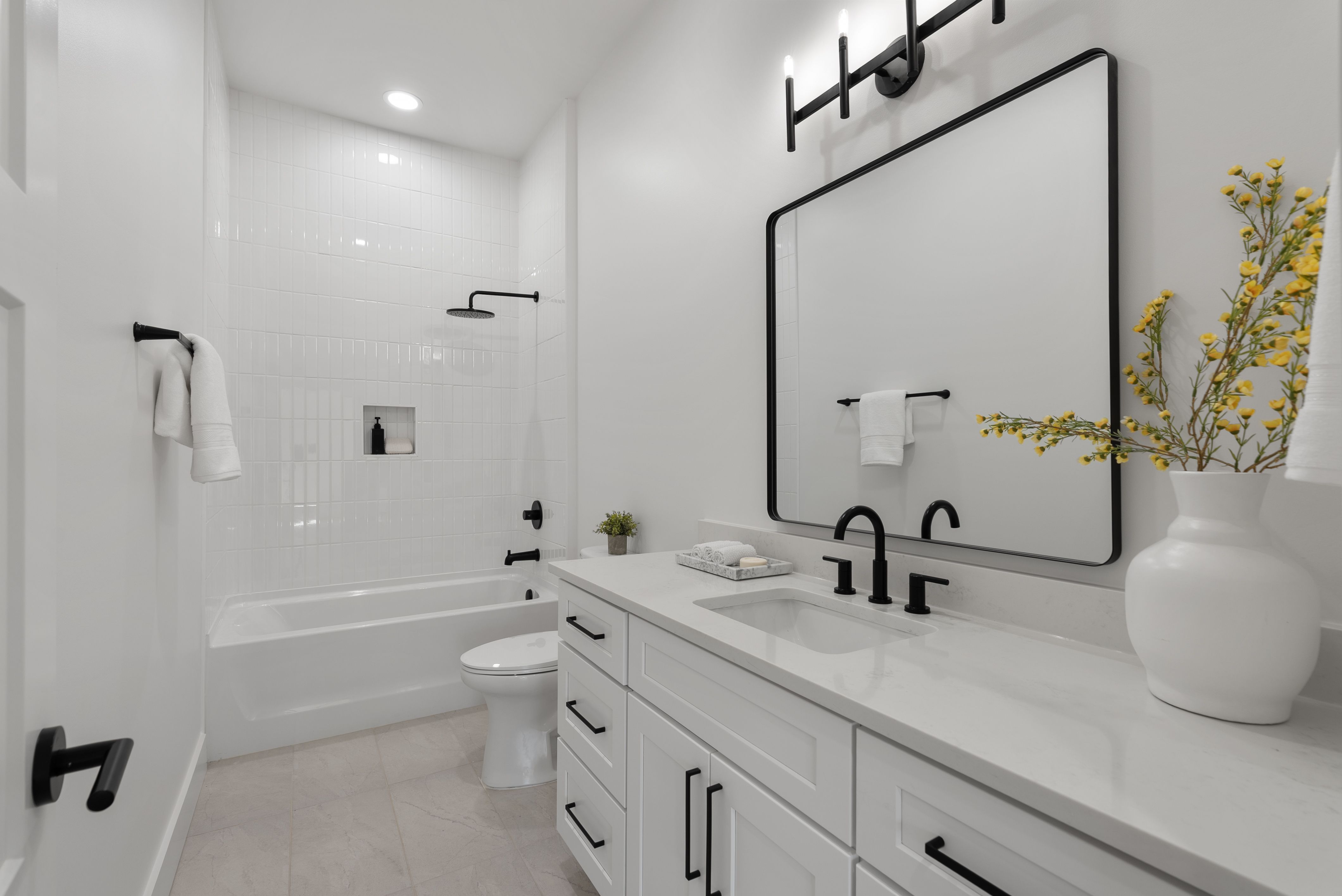  18 Aetna Springs Ct., Taylors, SC 29687 - 物件實景