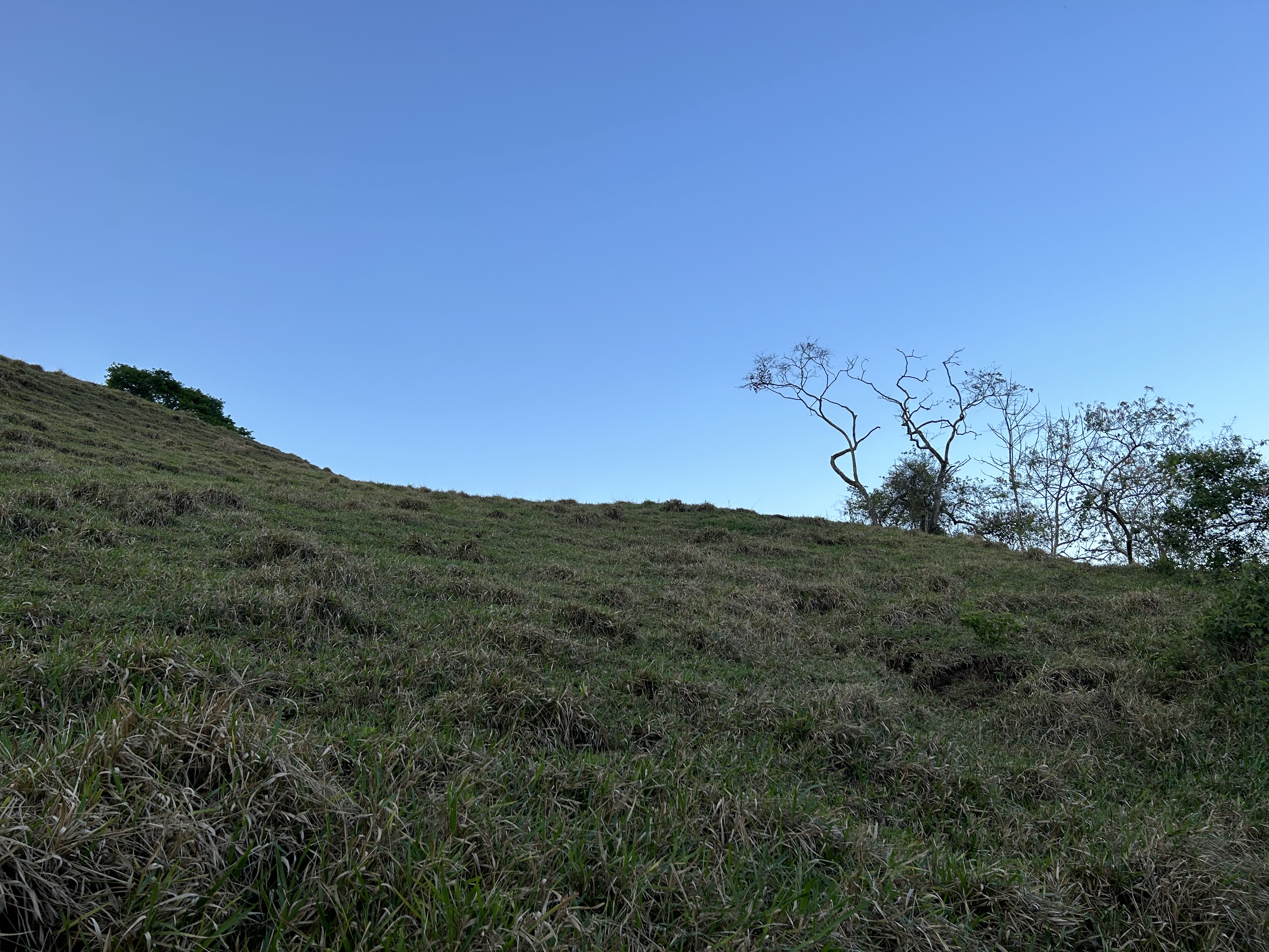 Atenas, Alajuela, CR, ,Land,For Sale,1627733