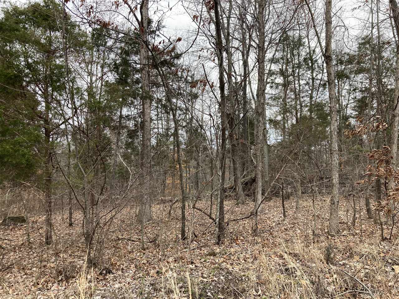 Clarkson, Kentucky, 42726, United States, ,Land,For Sale,1828562