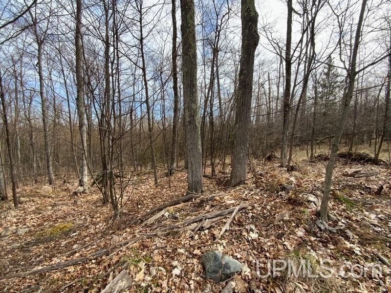 TBD W US 41, Marquette, Michigan, 49855, United States, ,Residential,For Sale,TBD W US 41,1601608