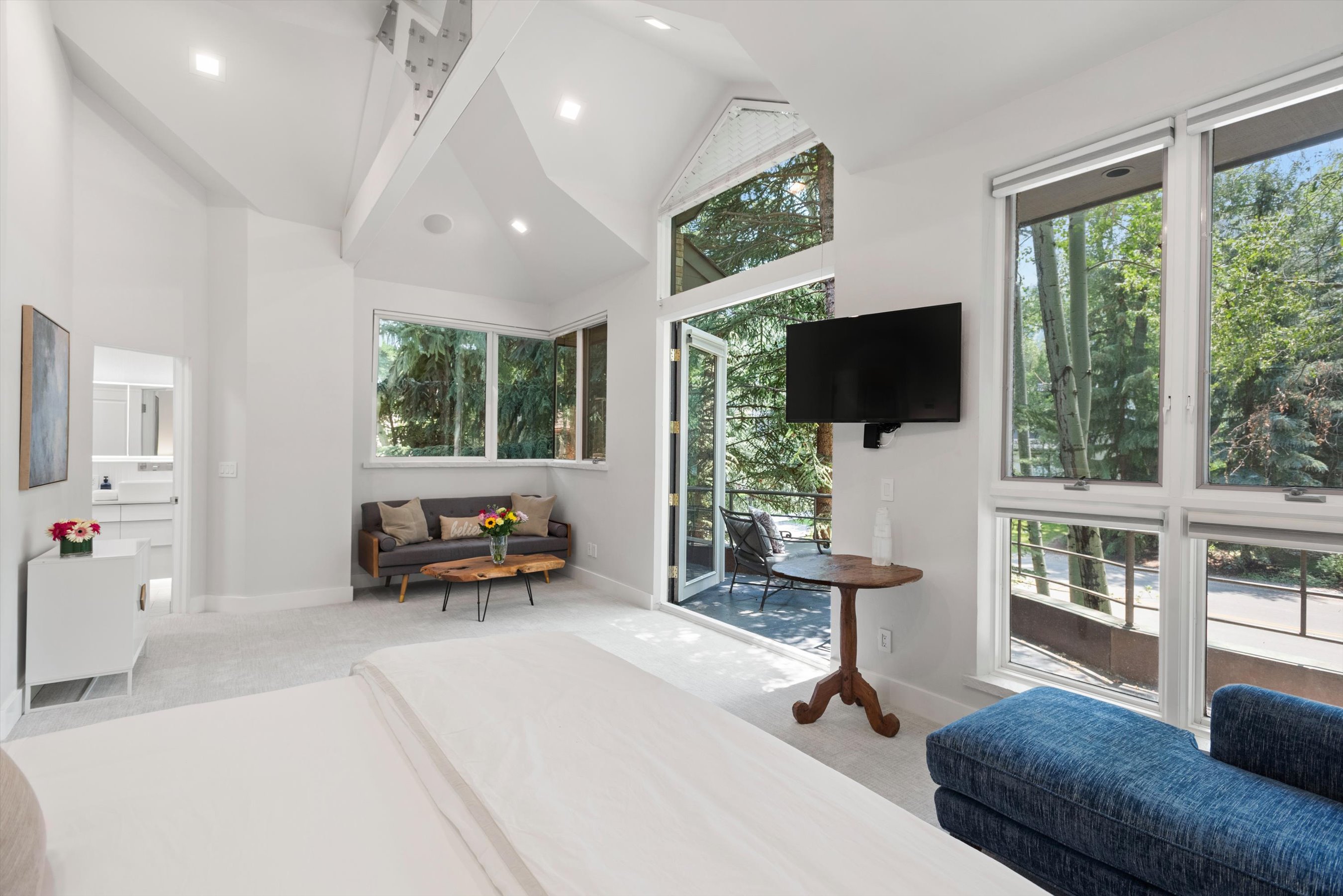  736 W Smuggler Street, Aspen, CO, 81611 - 物件實景