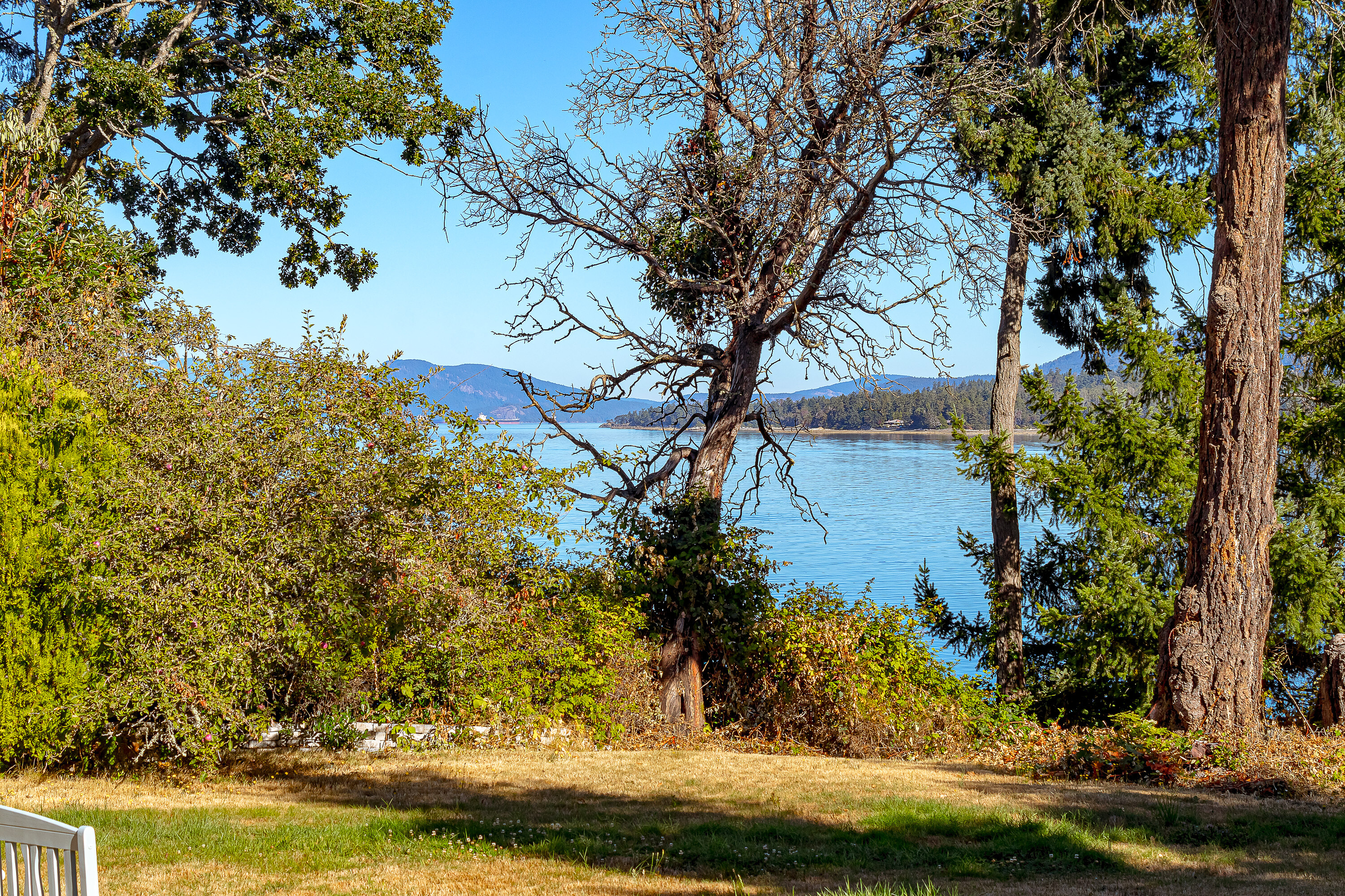 Prime Waterfront Home - 物件實景
