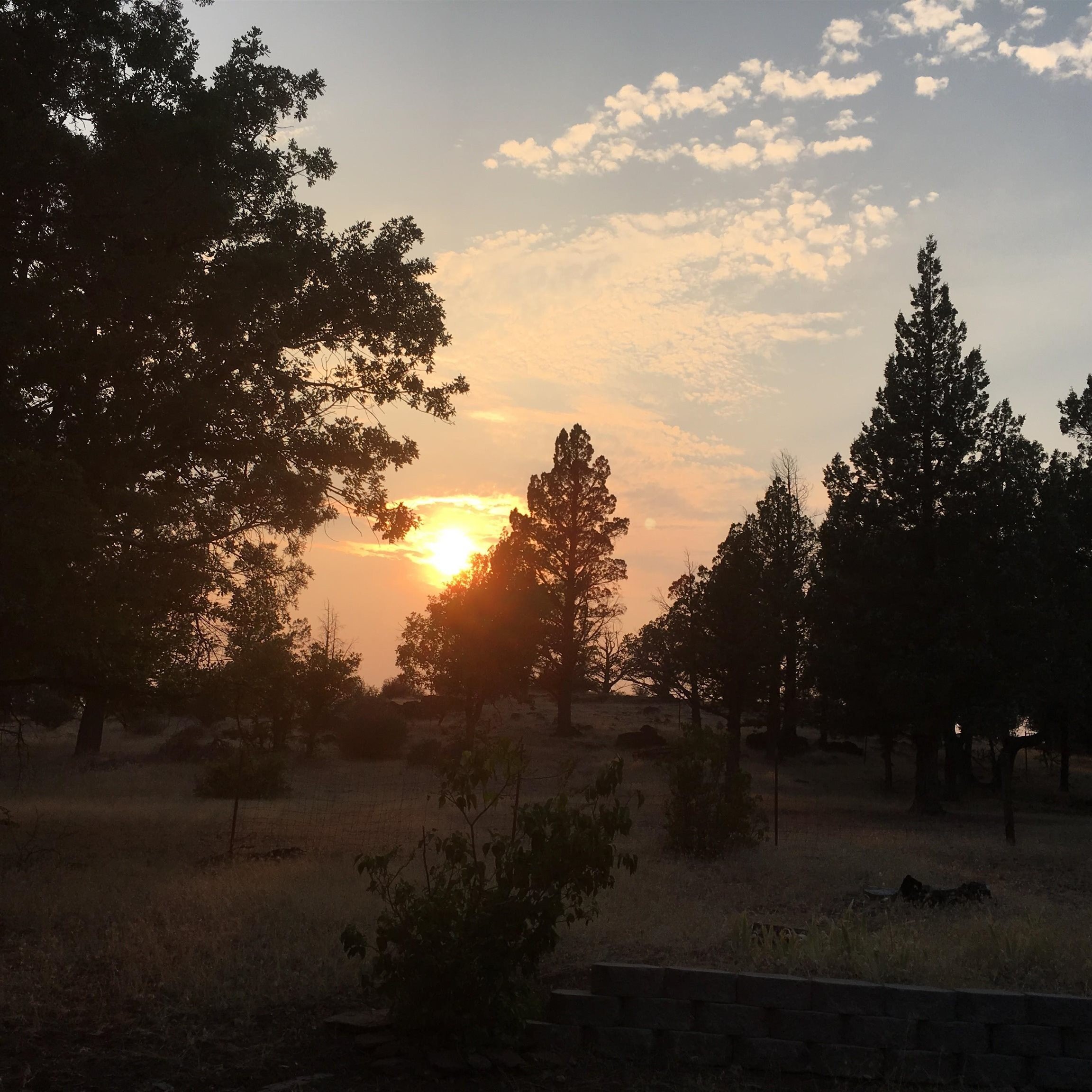 Montague, California, 96064-0000, United States, 3 Bedrooms Bedrooms, ,2 BathroomsBathrooms,Residential,For Sale,2033545