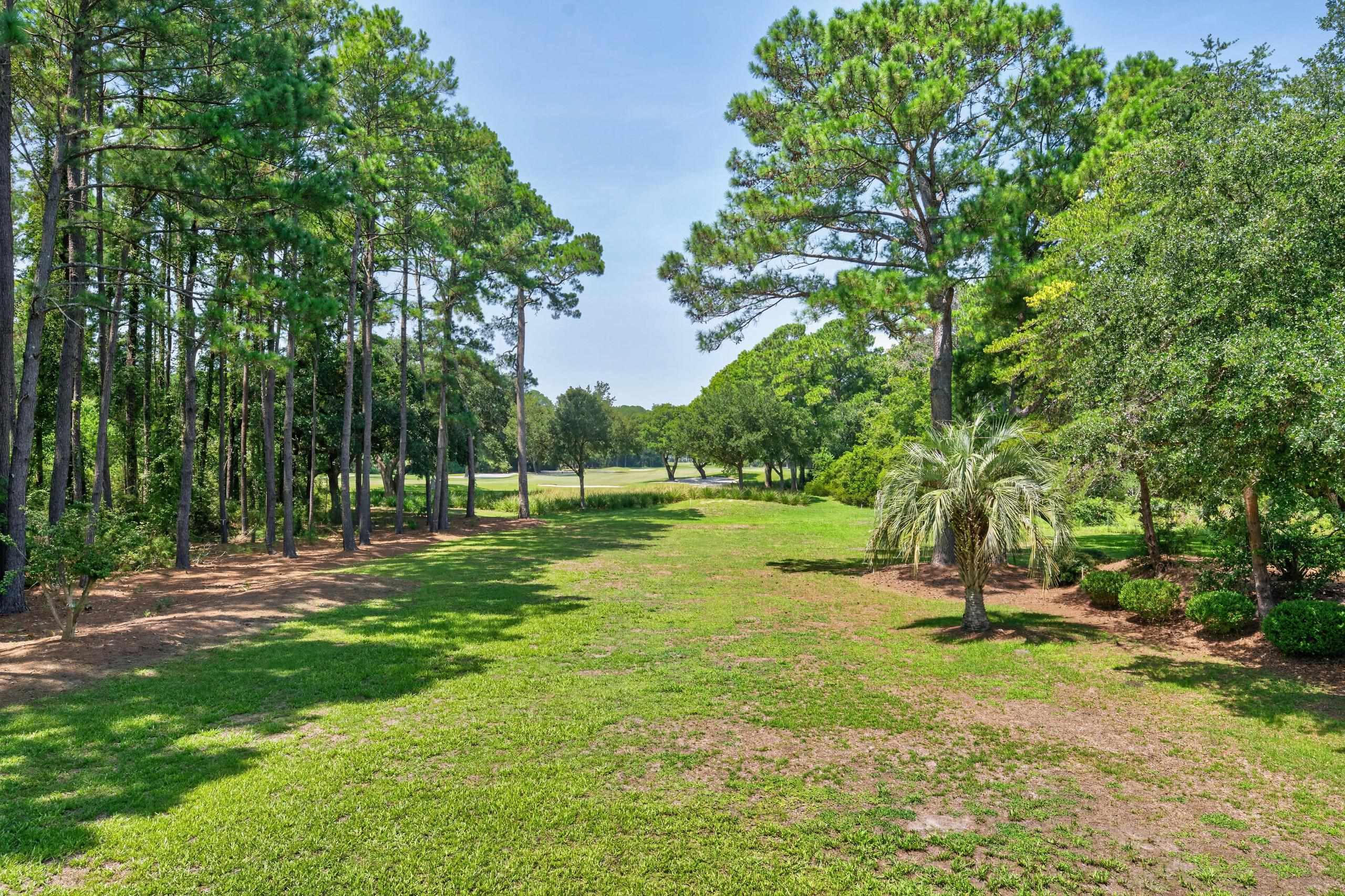  3674 Wallace Pate Drive  DeBordieu Colony - 物件實景