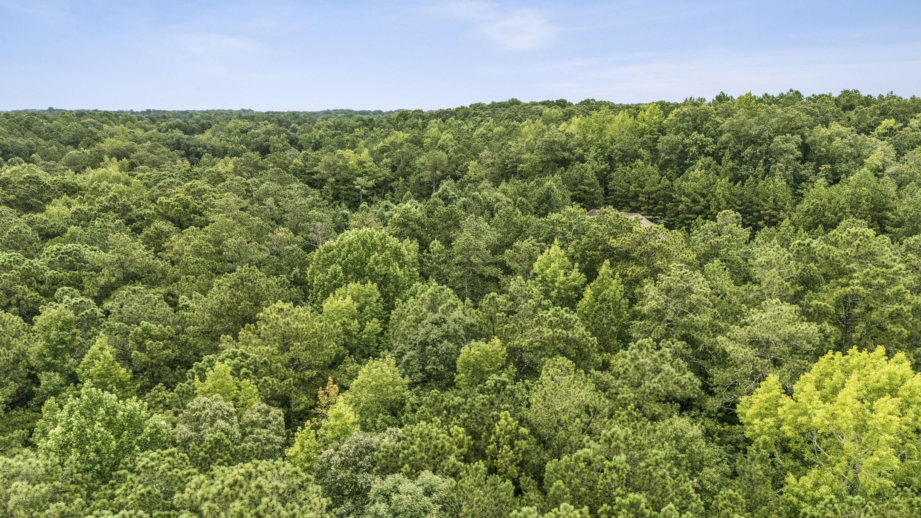  Incredible Opportunity on Over Ten Acres in Prime Stockbridge Location - 物件實景