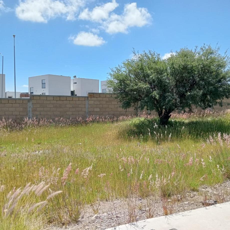 Querétaro, Querétaro, 76226, Mexico, 1 Bedroom Bedrooms, ,Residential,For Sale,1940057