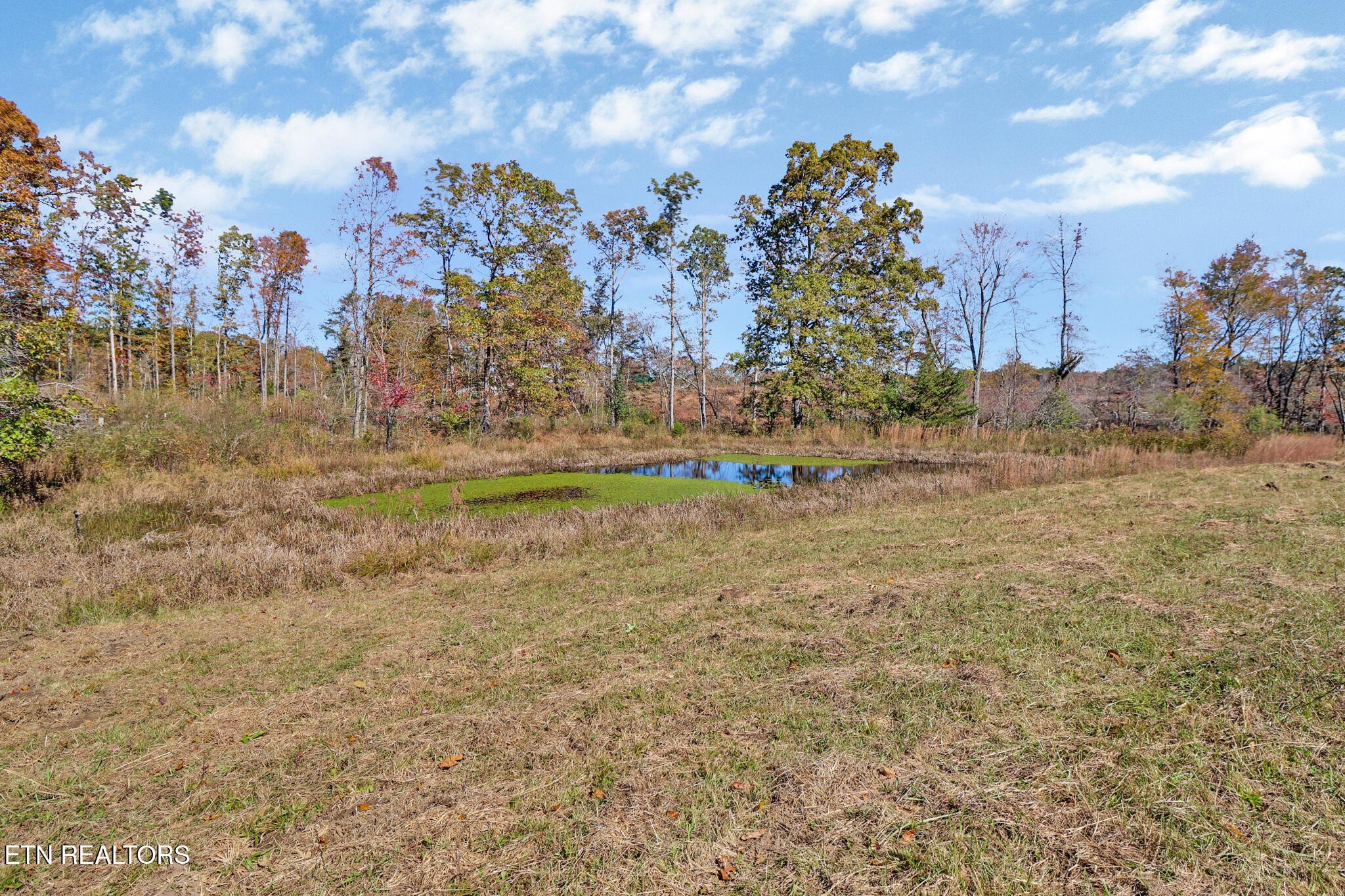 Crossville, Tennessee, 38571, United States, ,Land,For Sale,1974809
