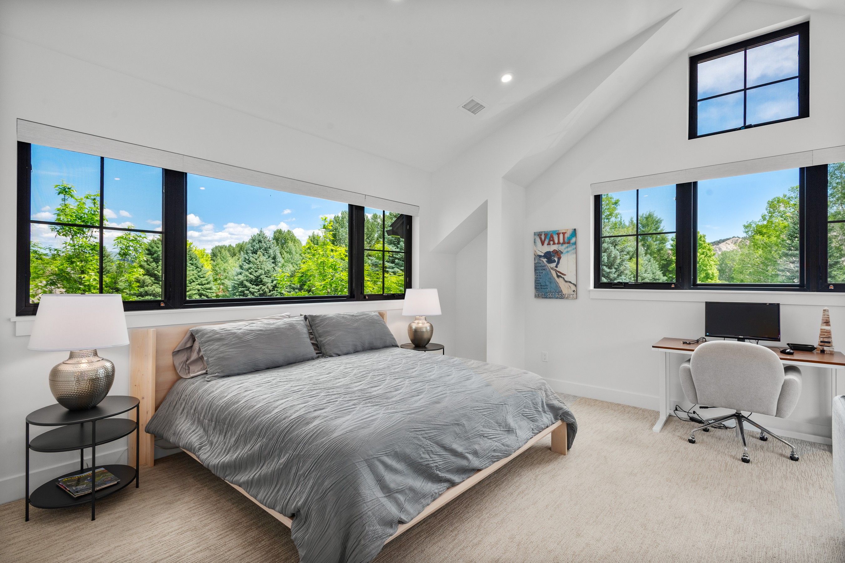  303 Golden Bear Drive, Carbondale, CO 81623 - 物件實景