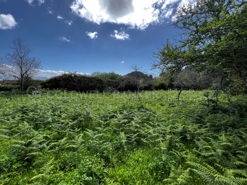 Pontevedra, Moa?a, Moa?a (San Marti?o P. E Virxe d, Moaña, Galicia, ES, 7 Bedrooms Bedrooms, ,2 BathroomsBathrooms,Residential,For Sale,Pontevedra, Moa?a, Moa?a (San Marti?o P. E Virxe d,1623275