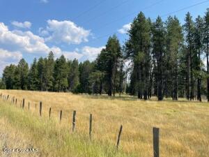 Emida, Idaho, 83861, United States, ,Residential,For Sale,1712502
