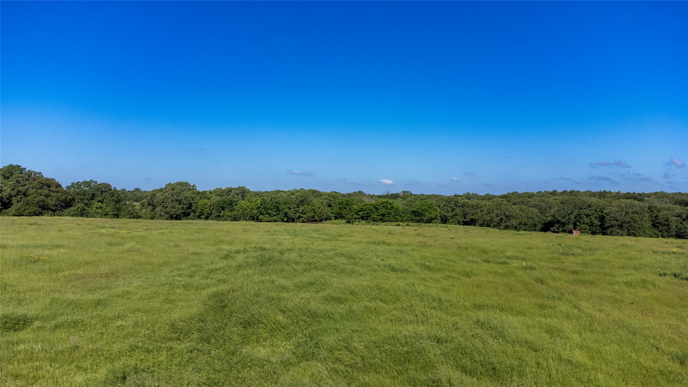 Sadler, Texas, 76264, United States, ,Land,For Sale,1837426
